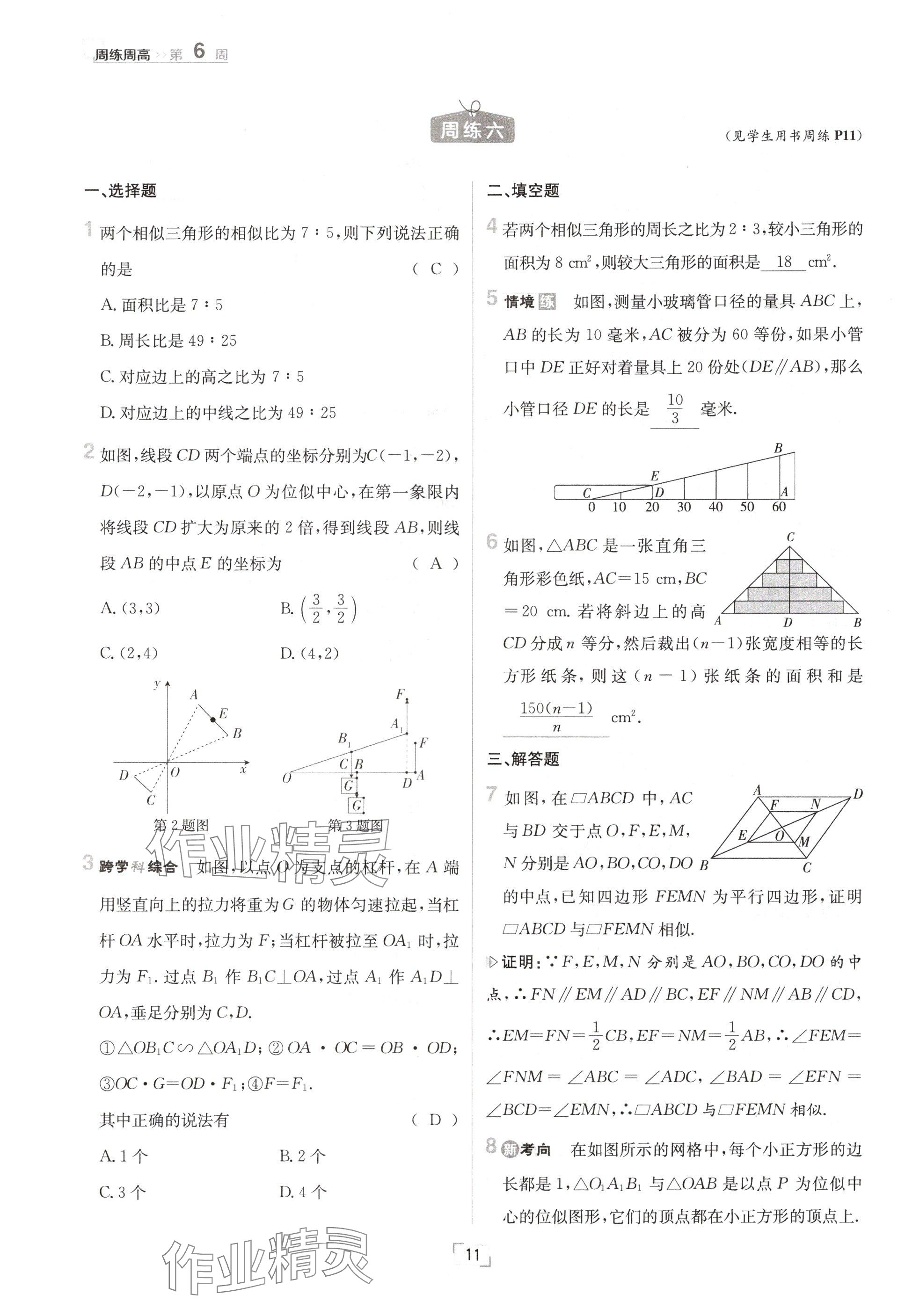 2024年日清周練九年級(jí)數(shù)學(xué)全一冊(cè)冀教版 參考答案第11頁