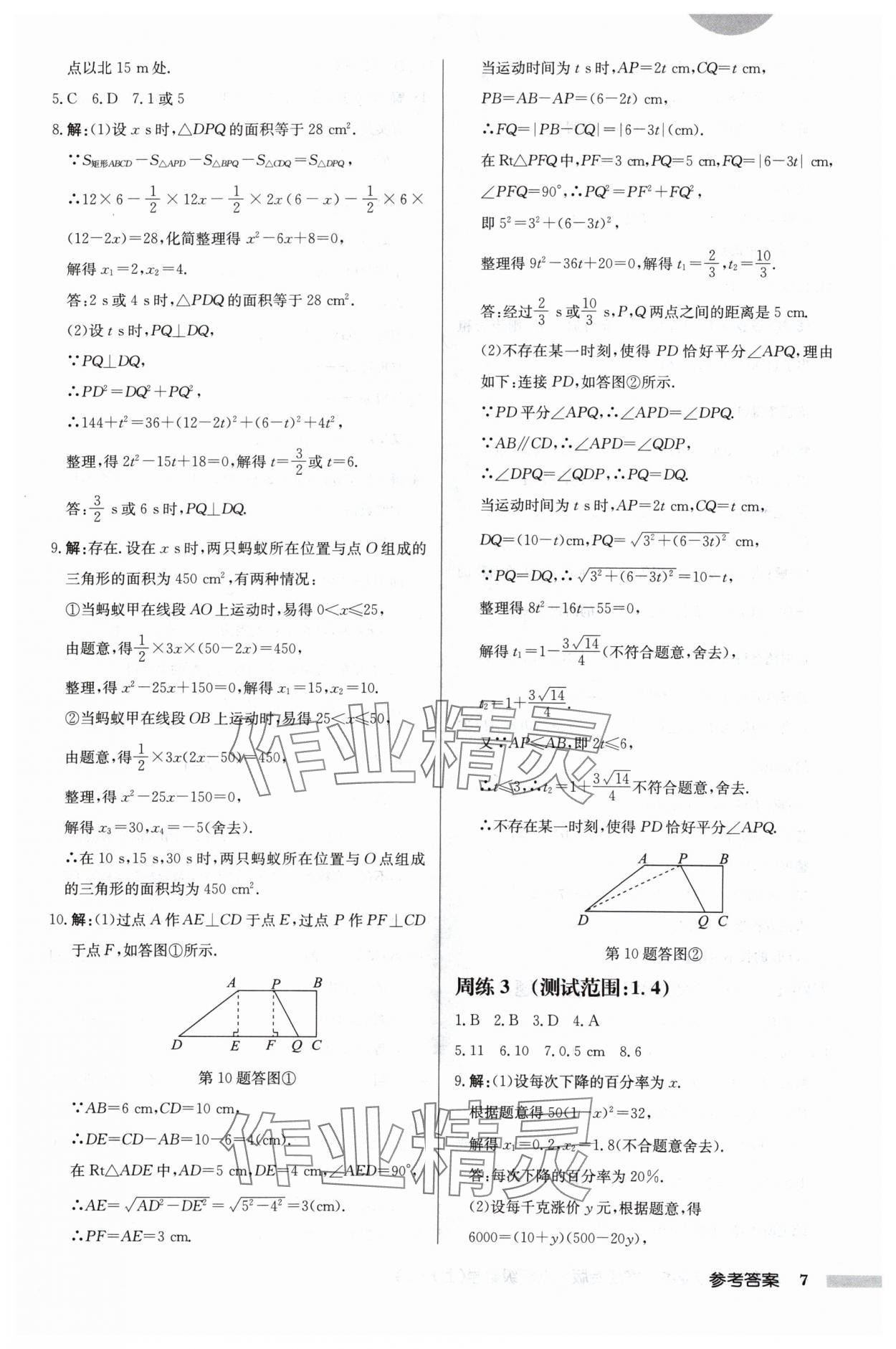 2024年启东中学作业本九年级数学上册苏科版宿迁专版 第7页