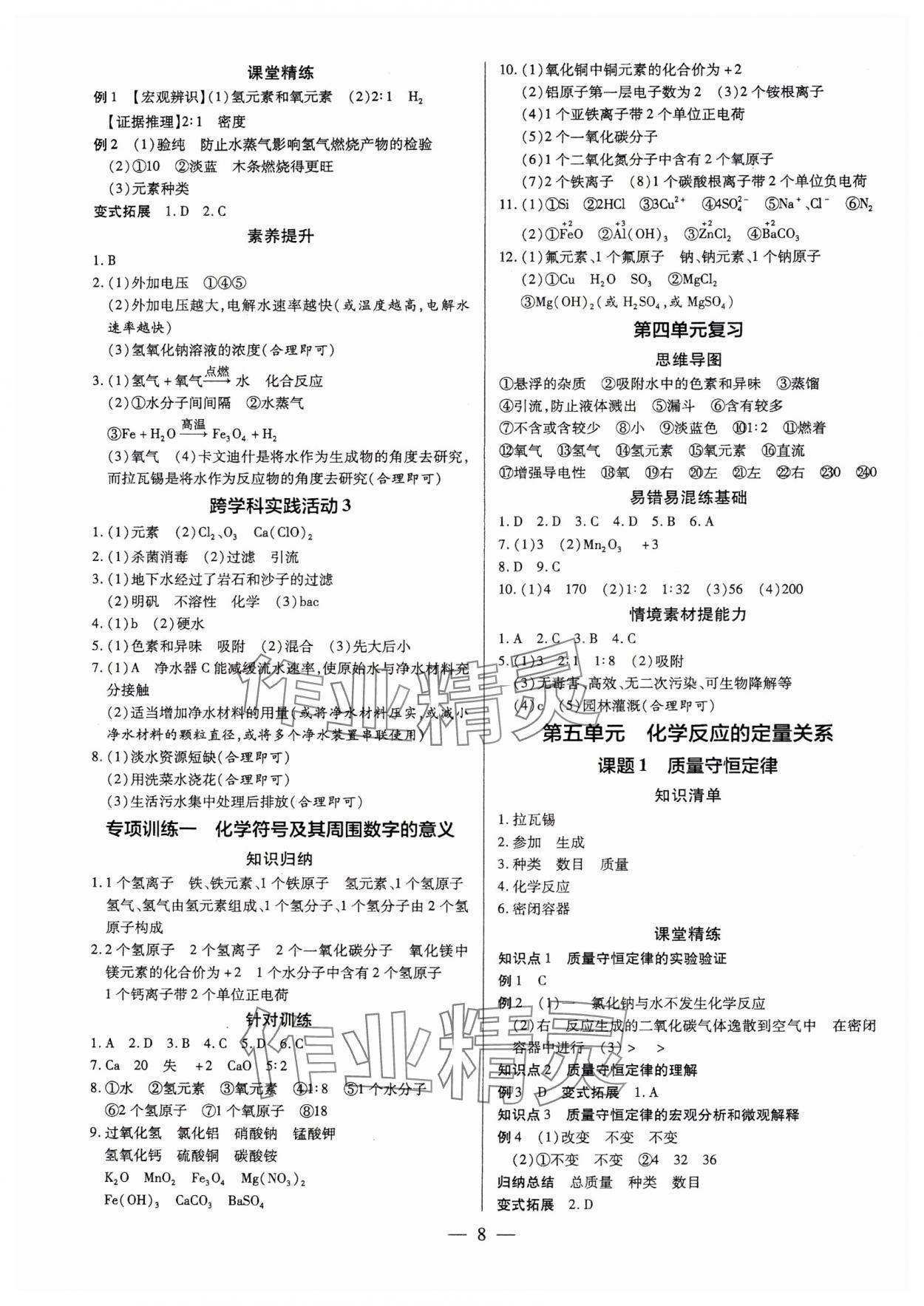 2025年領跑作業(yè)本九年級化學全一冊人教版廣東專版 第8頁
