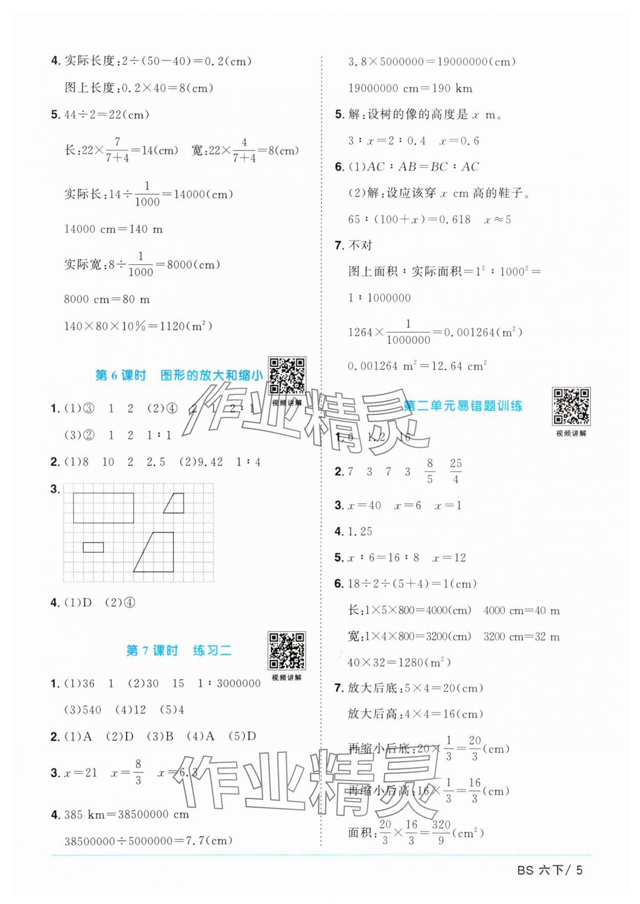 2025年阳光同学课时优化作业六年级数学下册北师大版广东专版 参考答案第5页