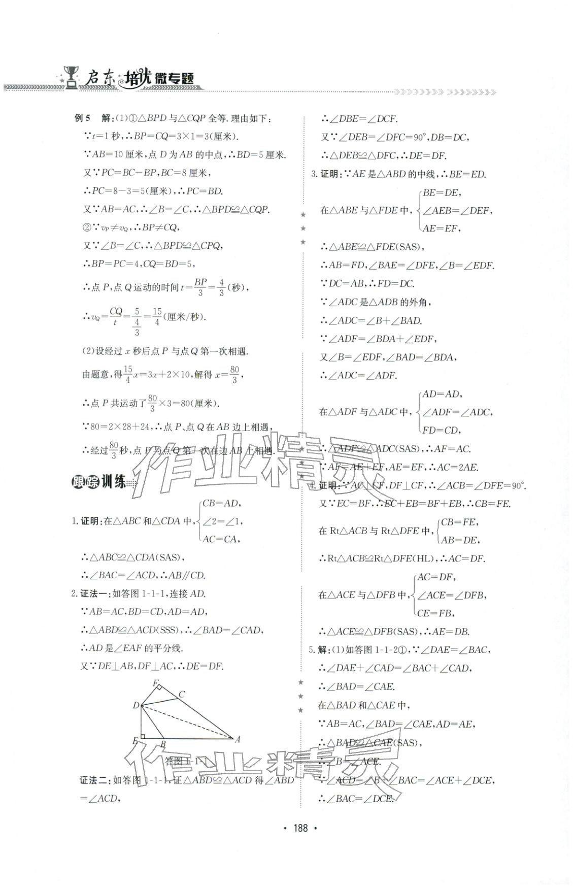 2025年啟東培優(yōu)微專題八年級數(shù)學&nbsp;第2頁