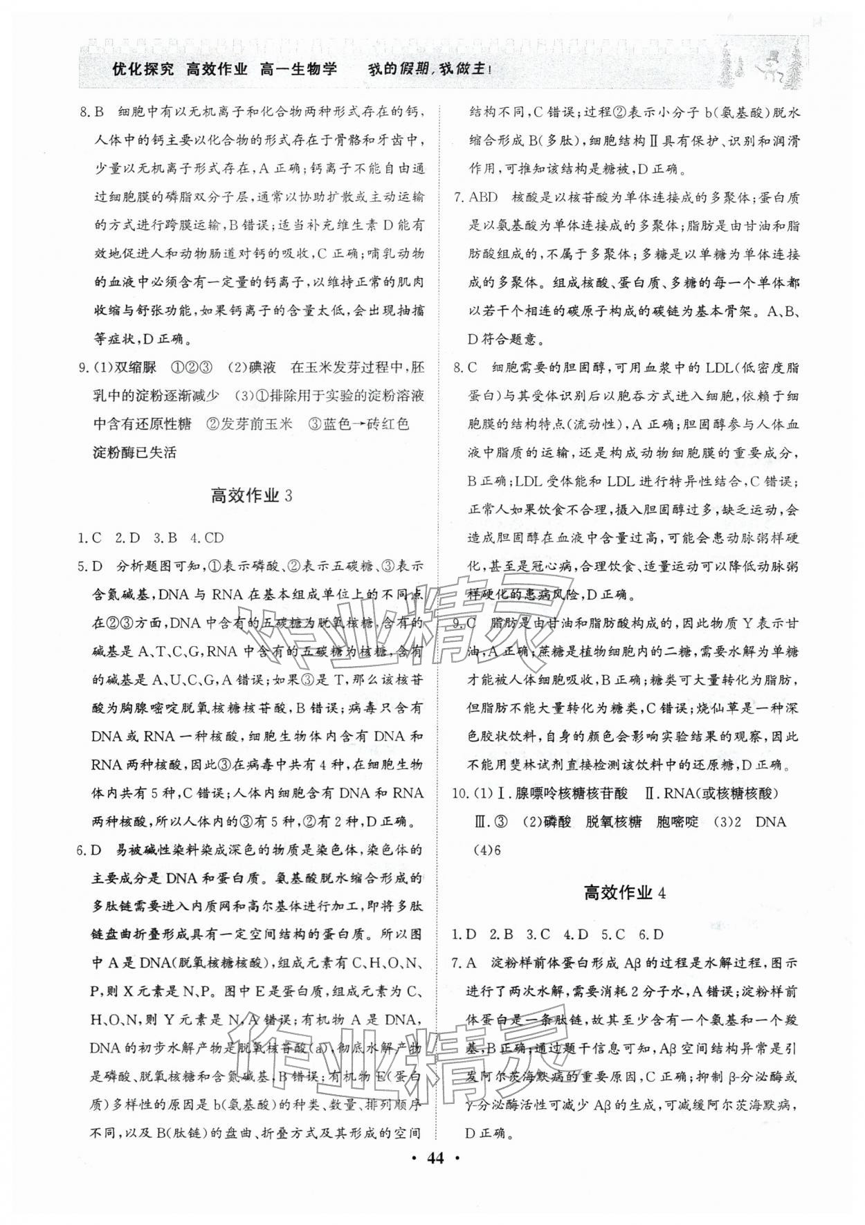 2026年優(yōu)化探究高效作業(yè)高一生物&nbsp;參考答案第2頁