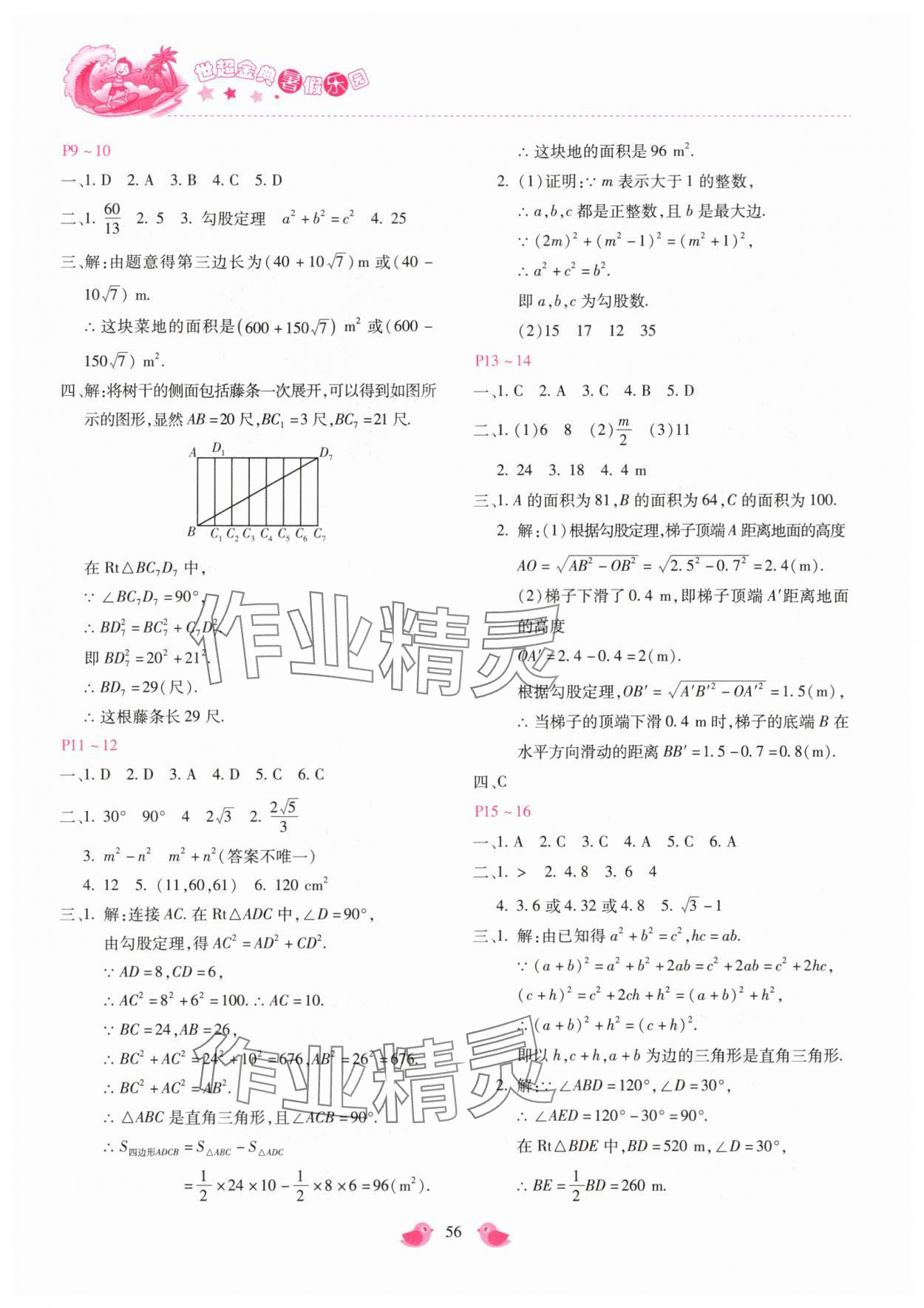 2025年世超金典暑假乐园暑假八年级数学人教版 第2页