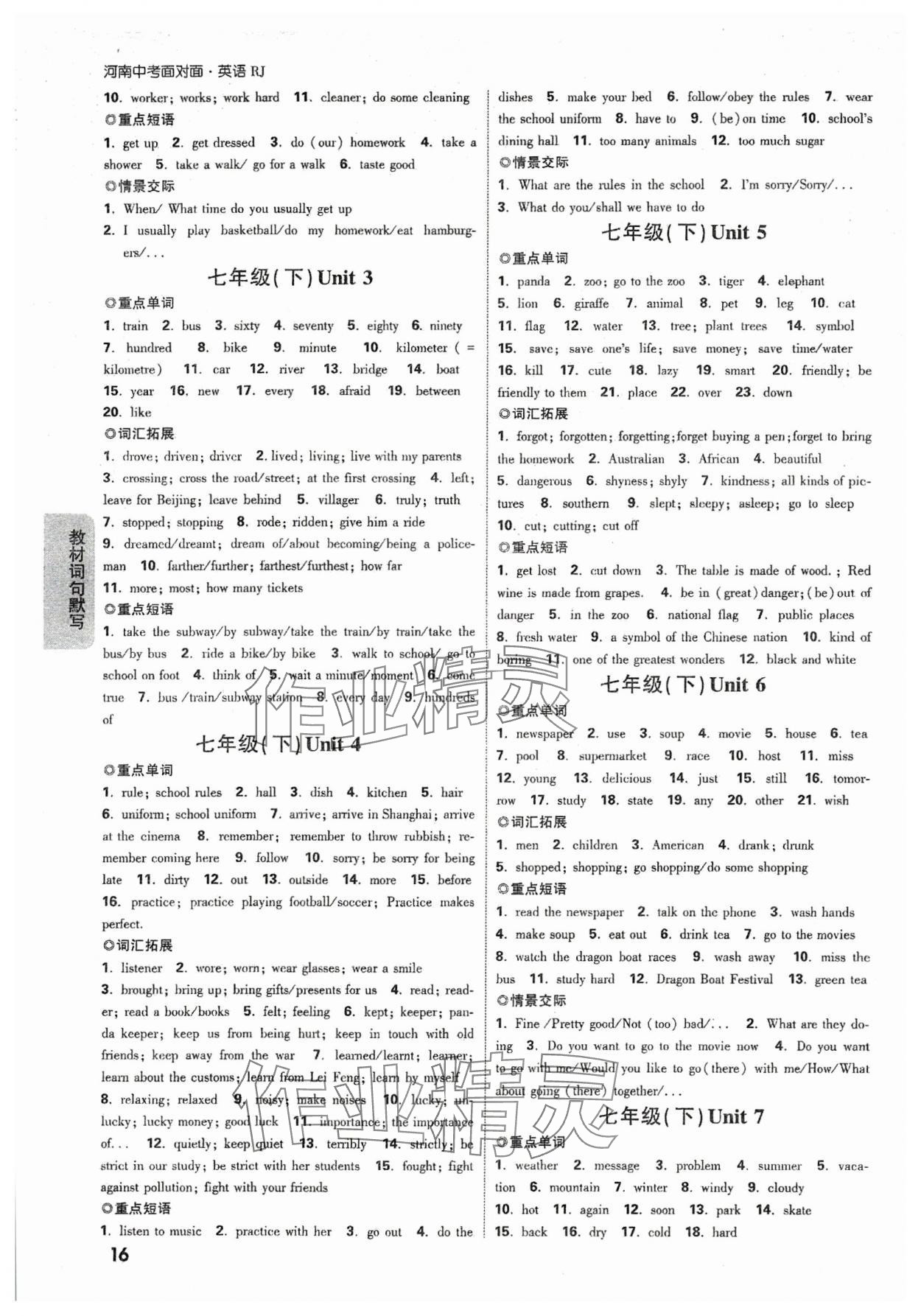 2024年中考面對面英語人教版河南專版 參考答案第15頁