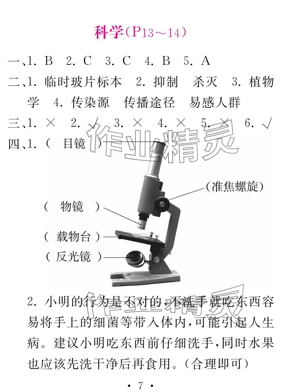 2024年天舟文化精彩暑假团结出版社五年级综合&nbsp;参考答案第7页
