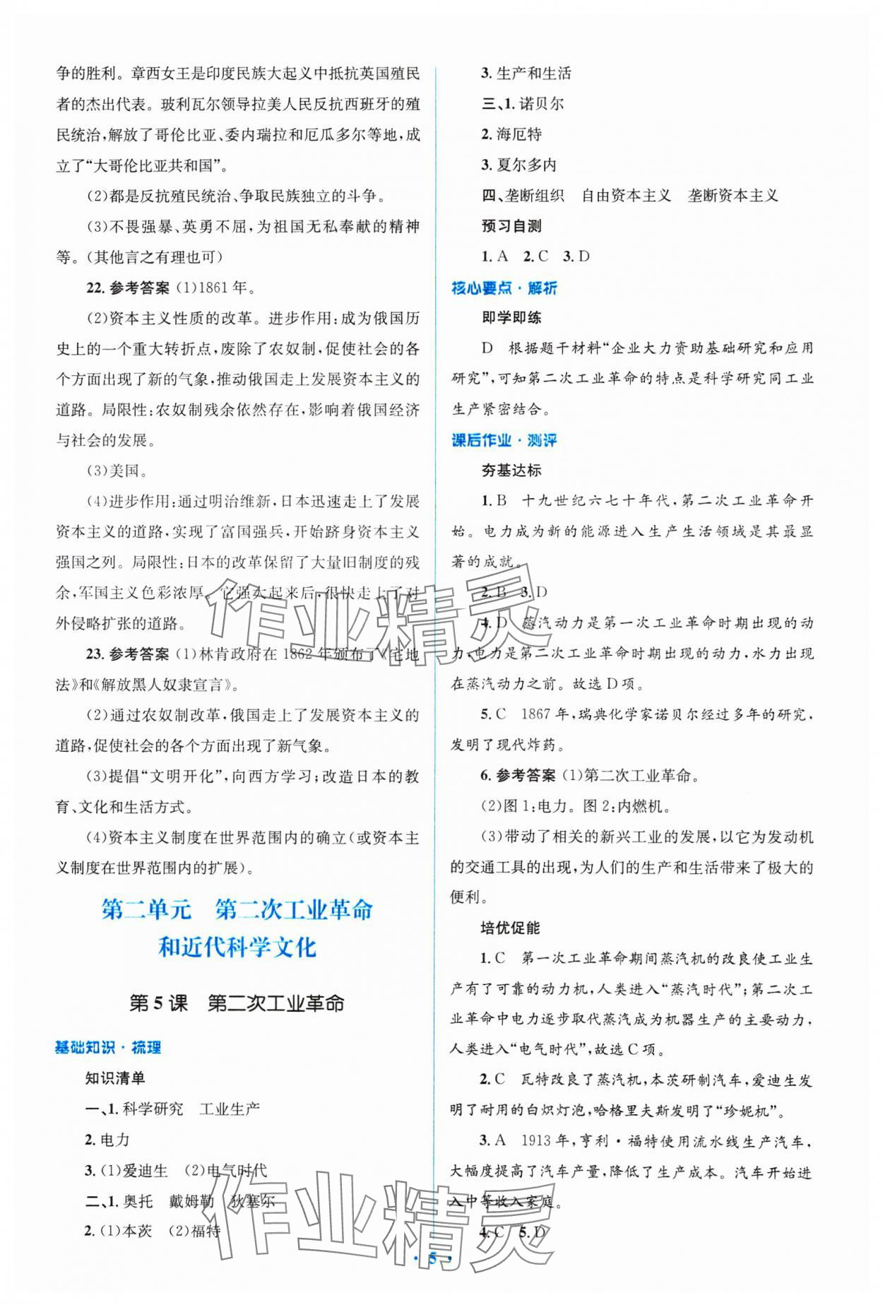 2025年同步解析與測評學考練九年級歷史下冊人教版精編版 參考答案第5頁