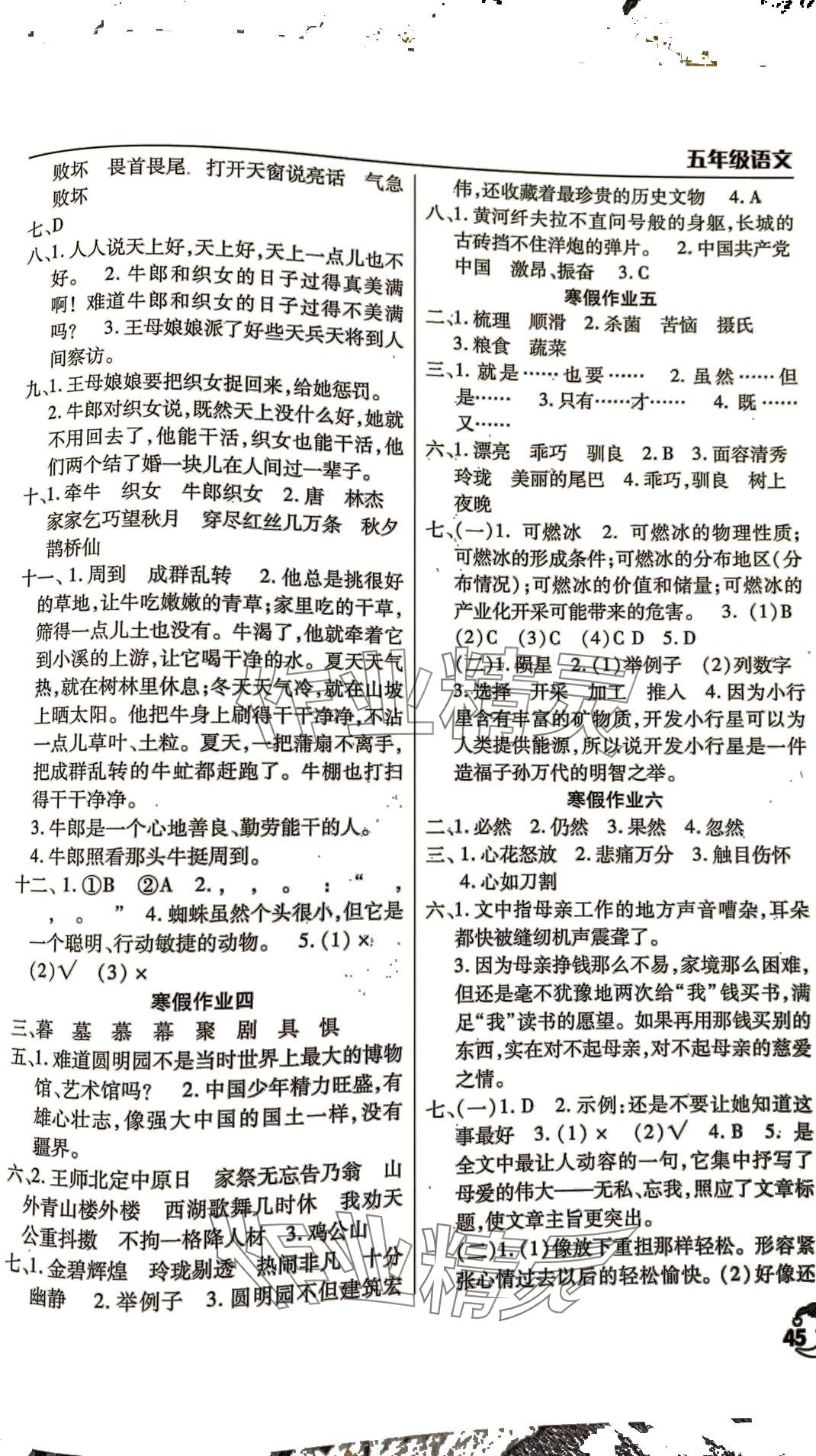 2024年寒假作业天天练文心出版社五年级语文人教版 第2页