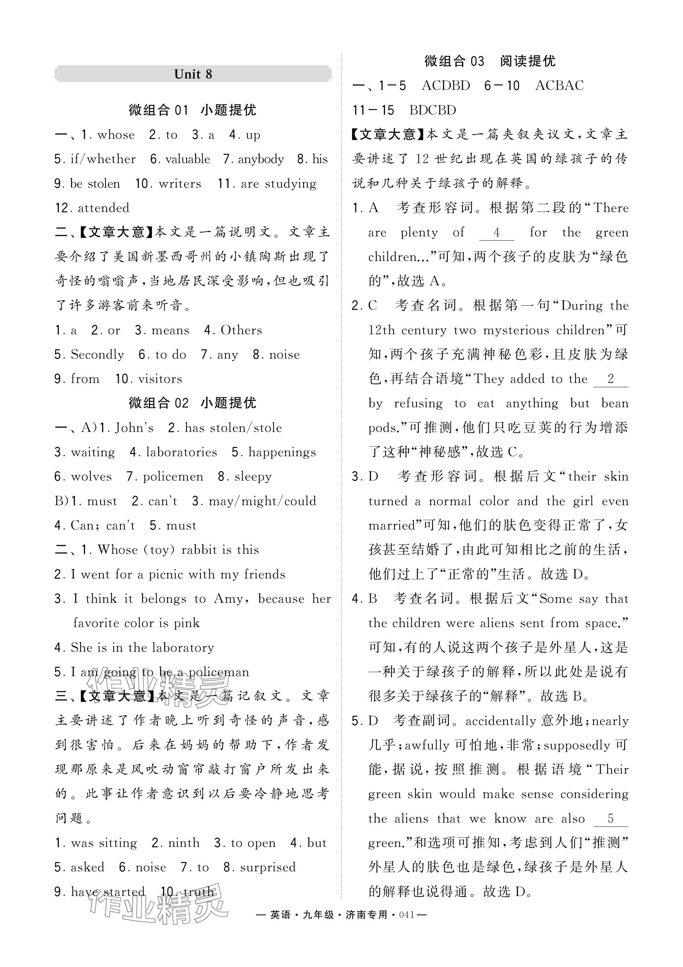 2024年學(xué)霸組合訓(xùn)練九年級(jí)英語(yǔ)全一冊(cè)人教版濟(jì)南專(zhuān)版 參考答案第41頁(yè)