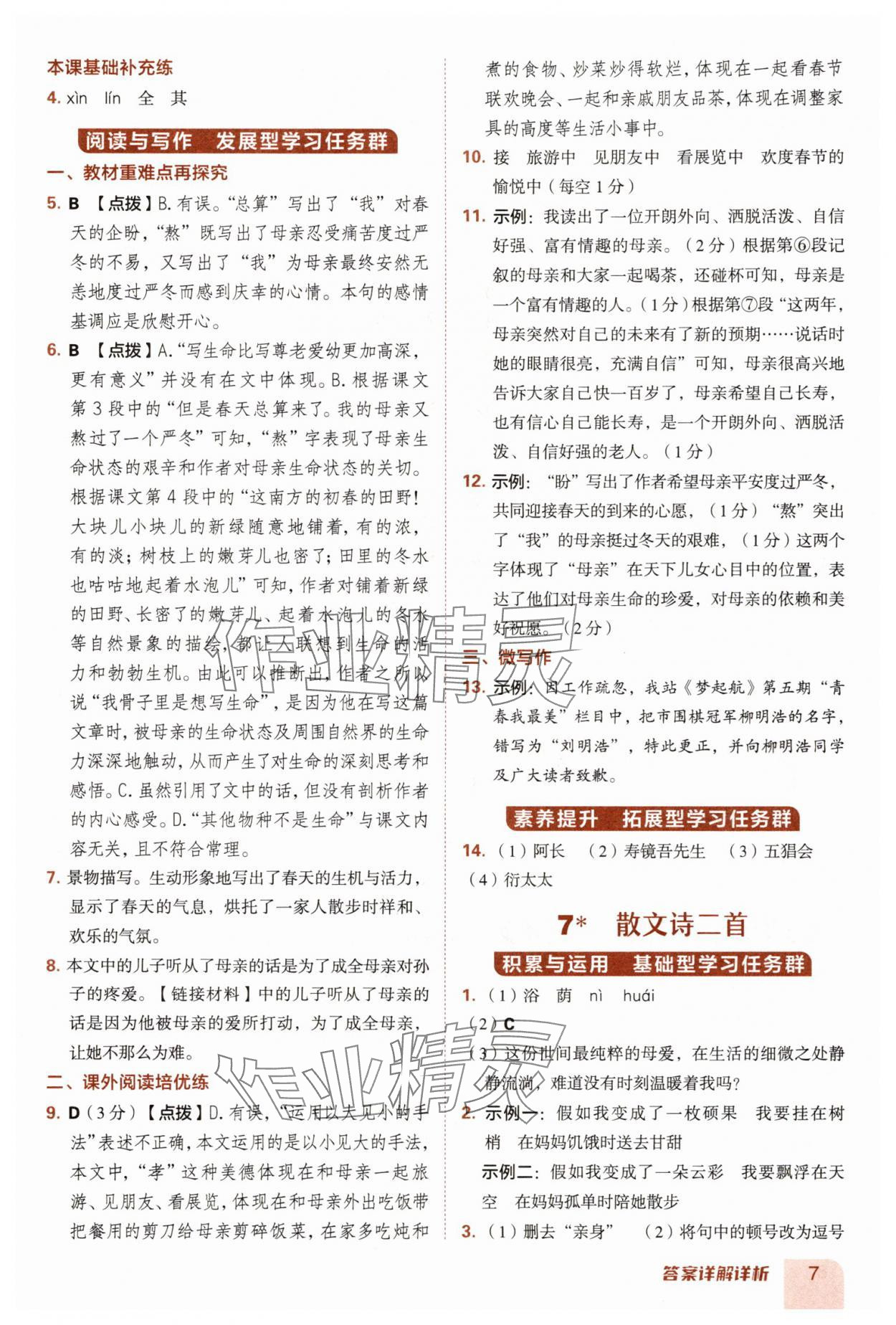 2025年综合应用创新题典中点七年级语文上册人教版安徽专版 第7页