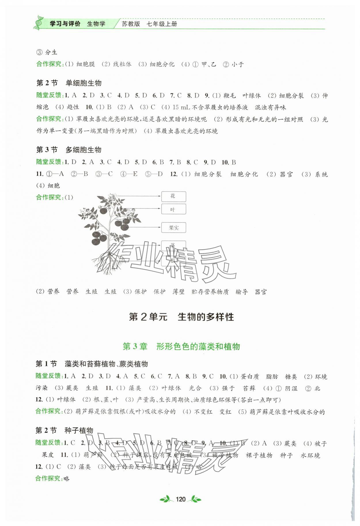 2025年学习与评价江苏凤凰教育出版社七年级生物上册苏教版 第2页