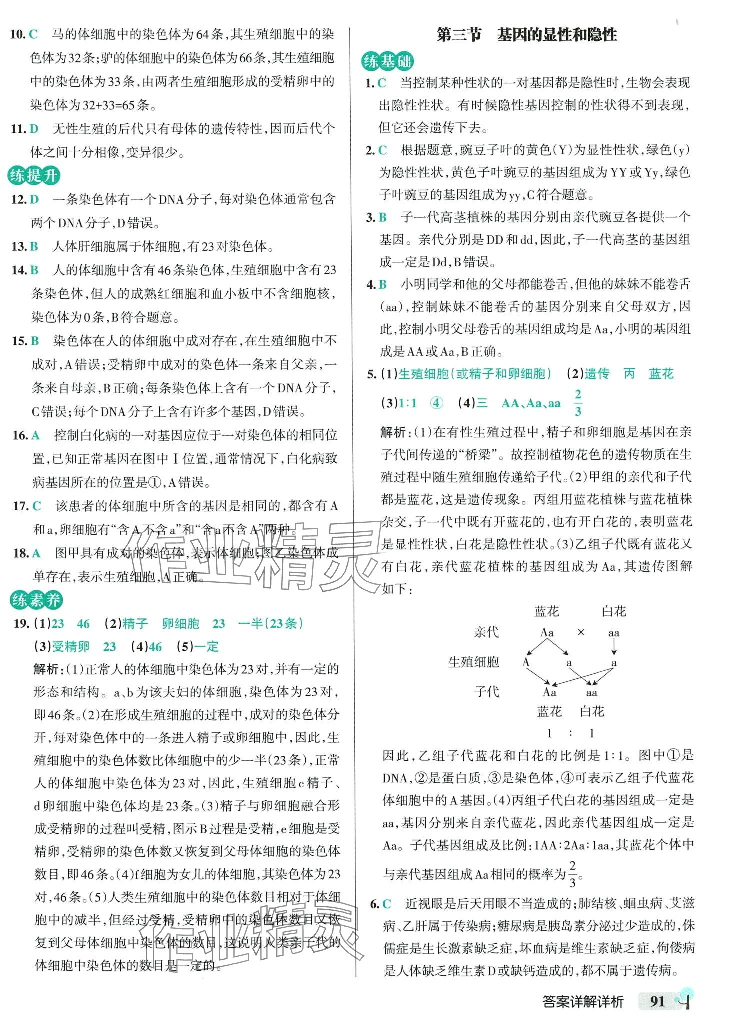 2024年初中學(xué)霸創(chuàng)新題八年級生物下冊人教版 參考答案第9頁