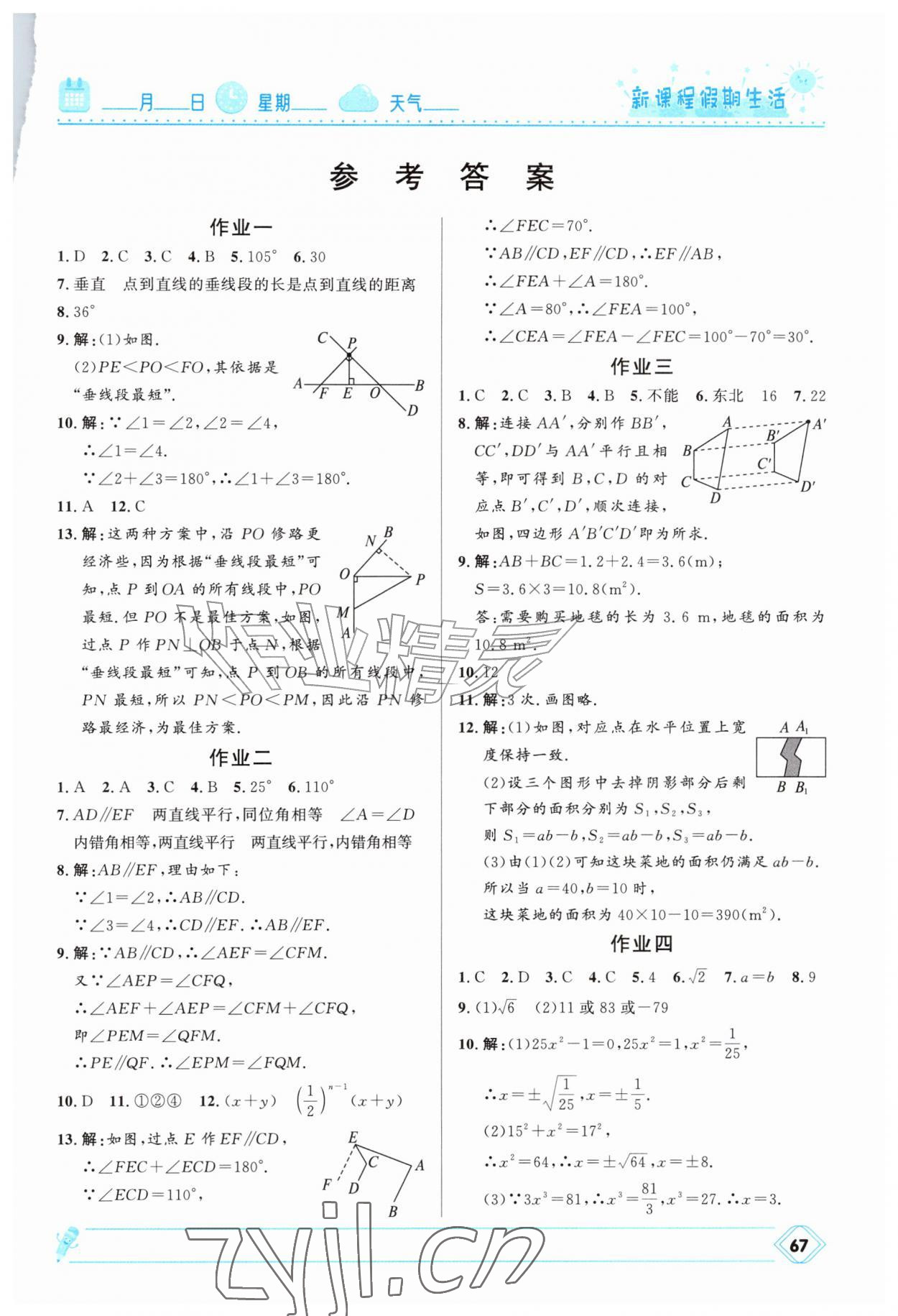 2026年新课程假期生活七年级数学&nbsp;第1页