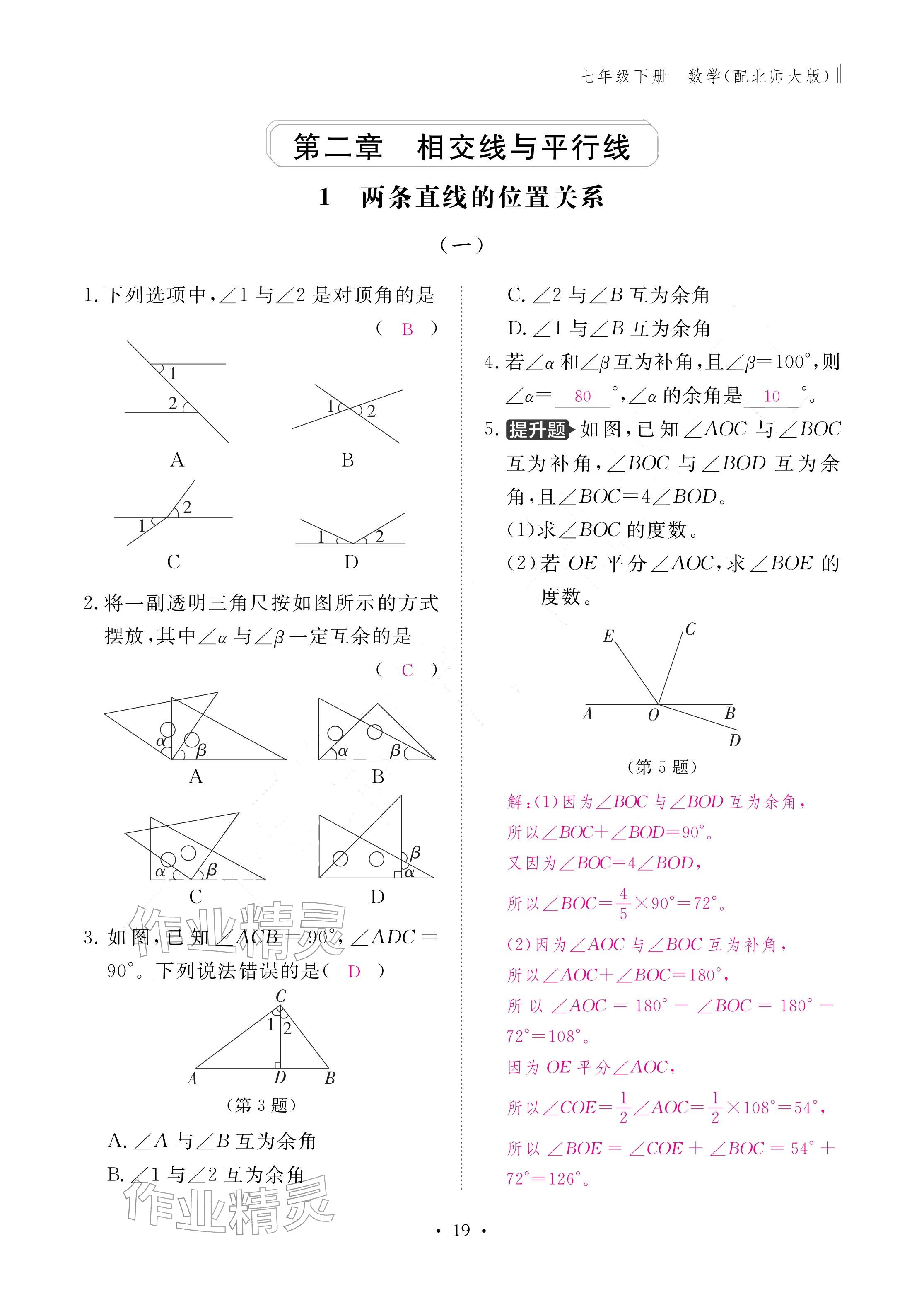 2026年作业本江西教育出版社七年级数学下册北师大版&nbsp;参考答案第19页