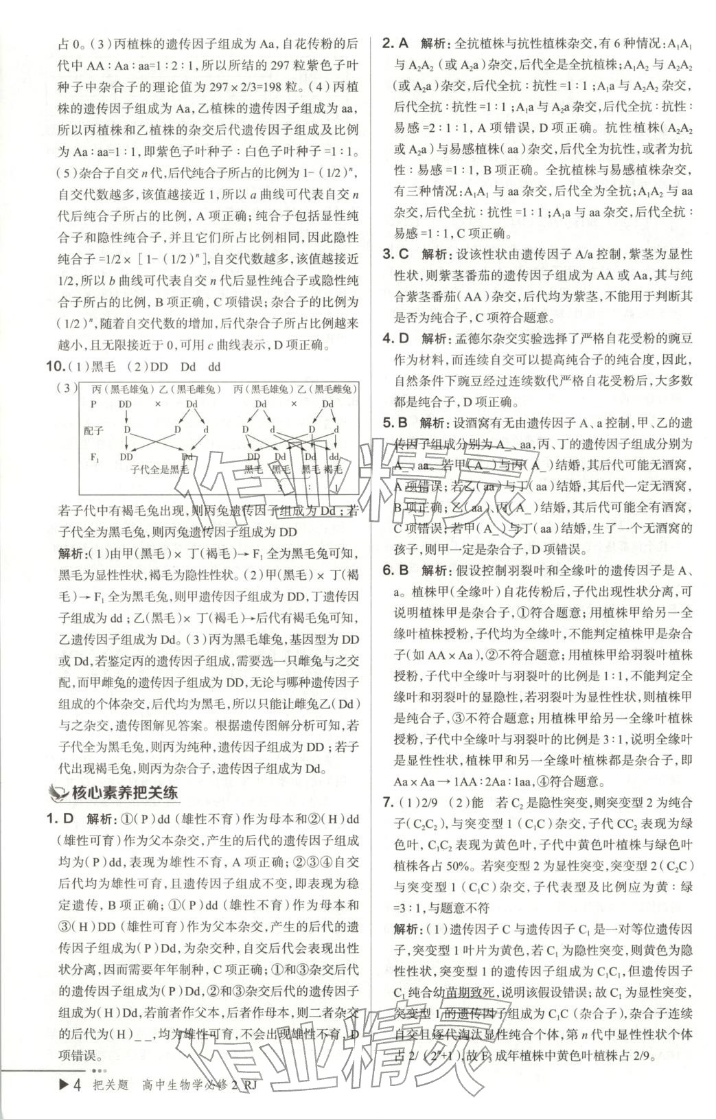 2026年把關(guān)題高中生物必修第二冊人教版&nbsp;第5頁