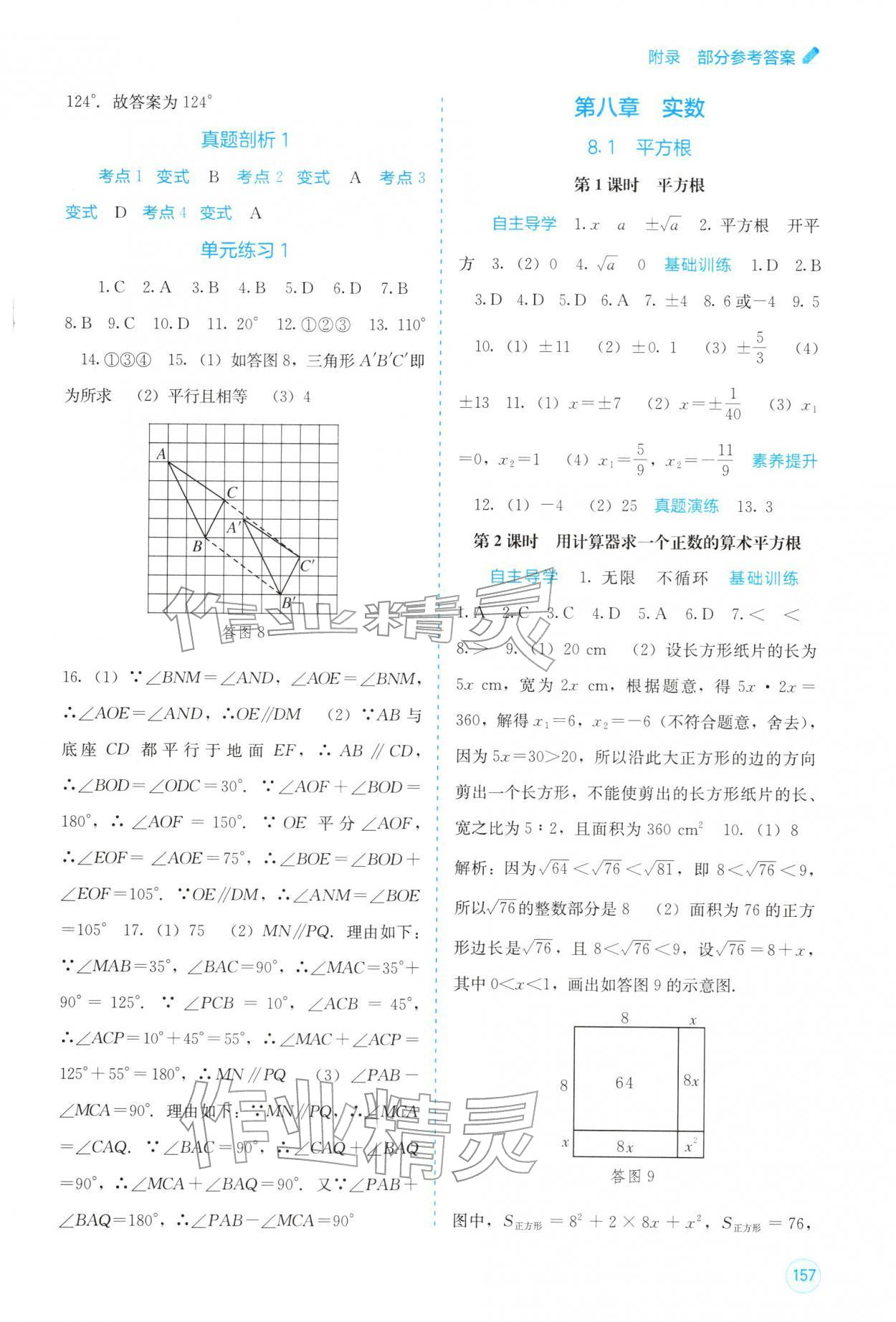 2026年自主学习能力测评七年级数学下册人教版&nbsp;第5页