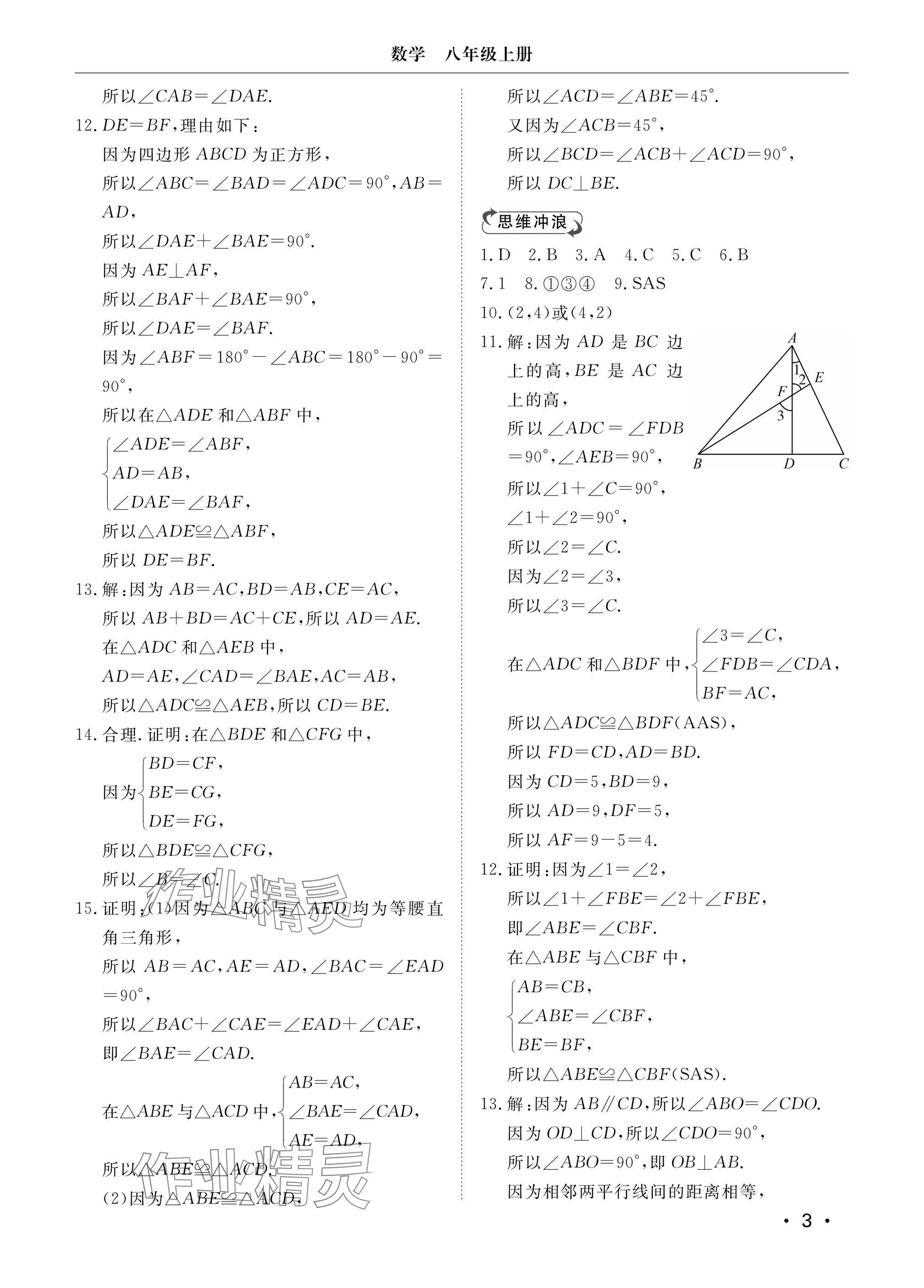 2024年行知天下八年级数学上册青岛版 参考答案第3页