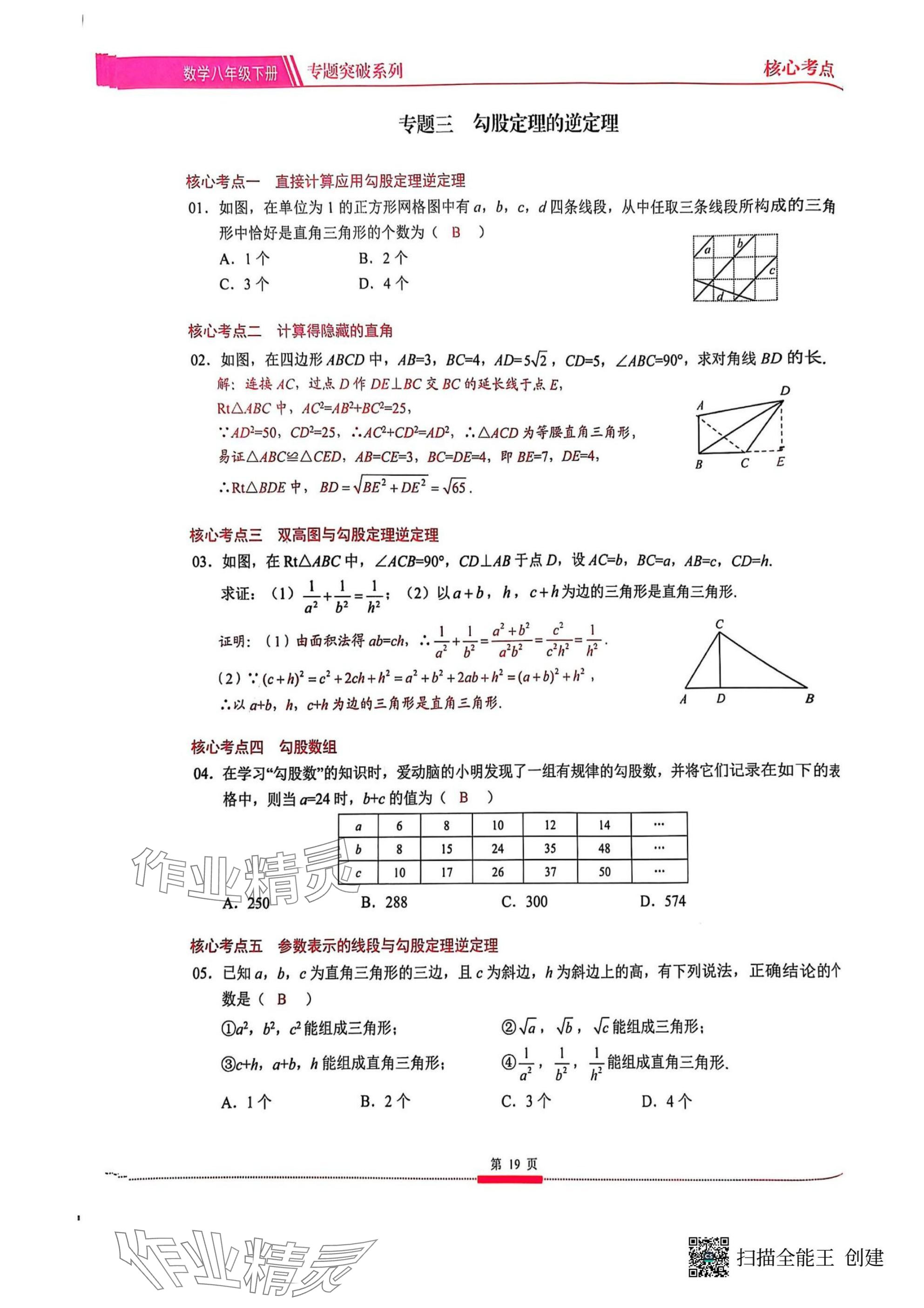 2025年名校學(xué)典核心考點(diǎn)武漢出版社八年級(jí)數(shù)學(xué)下冊(cè)人教版 參考答案第19頁(yè)