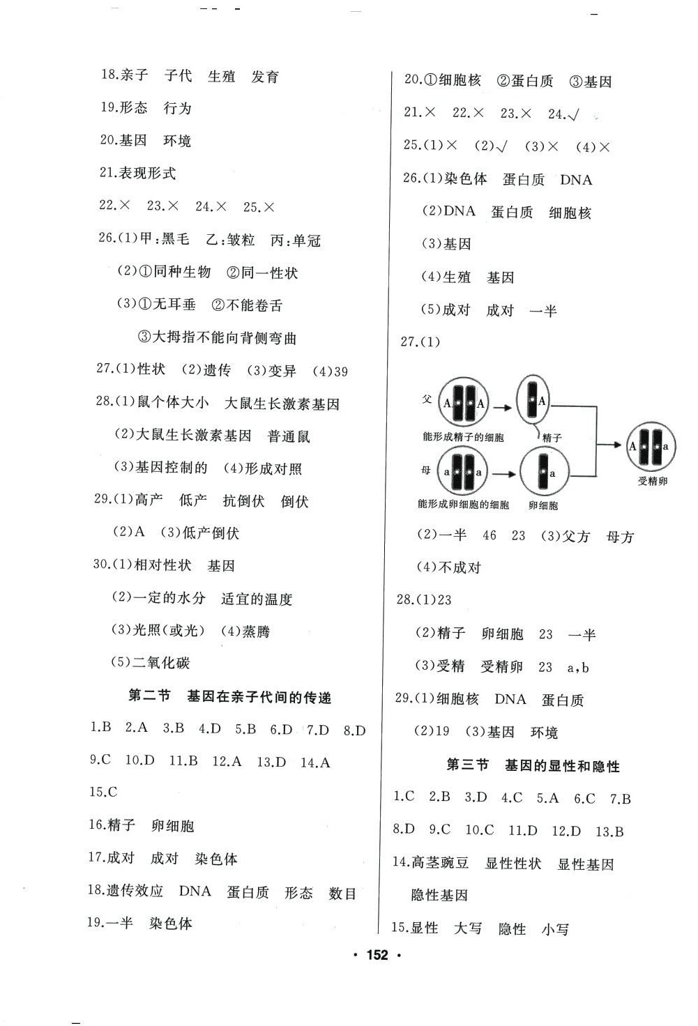 2024年试题优化课堂同步八年级生物下册人教版 第4页