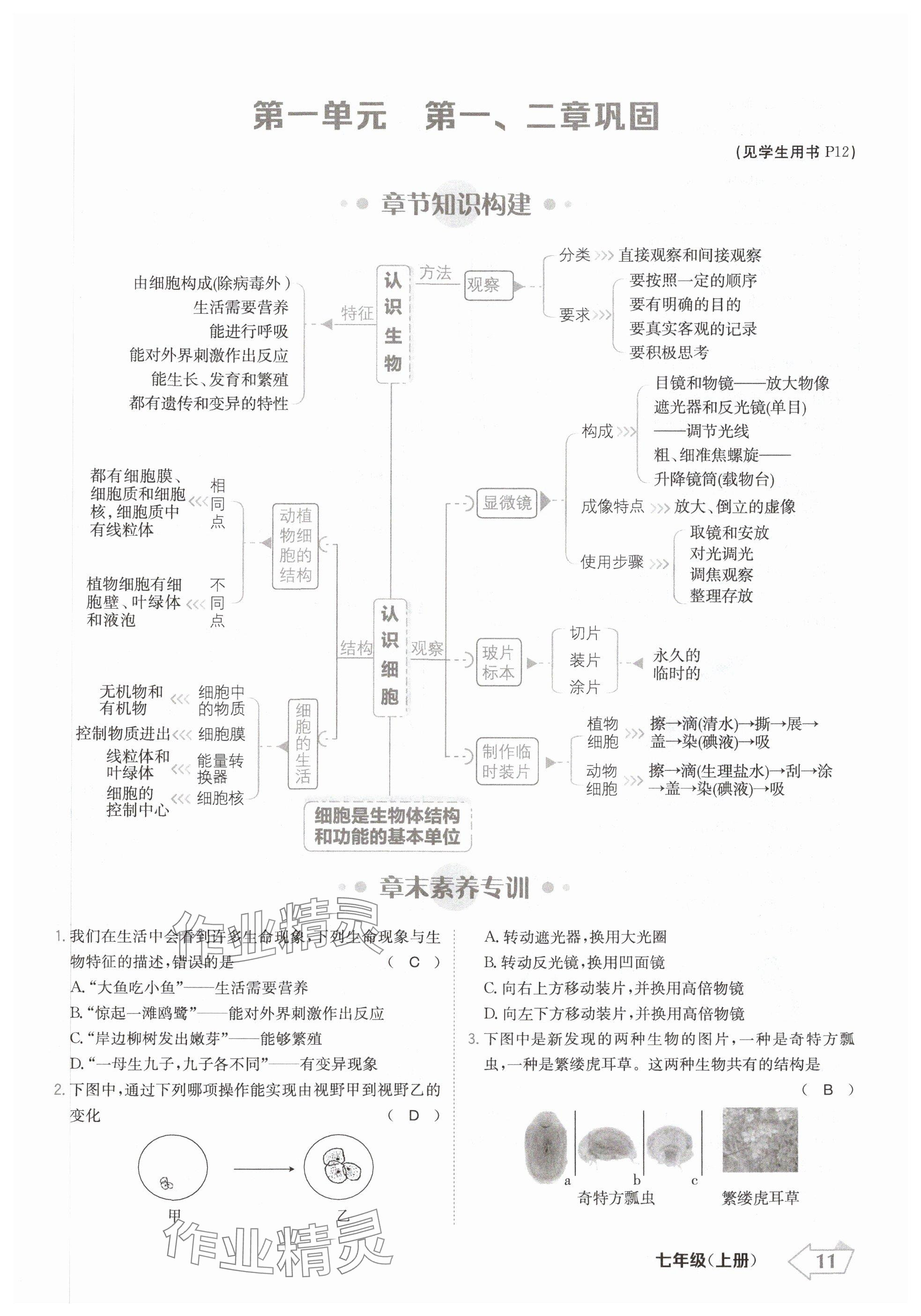 2024年金牌學(xué)練測(cè)七年級(jí)生物上冊(cè)人教版 參考答案第11頁(yè)