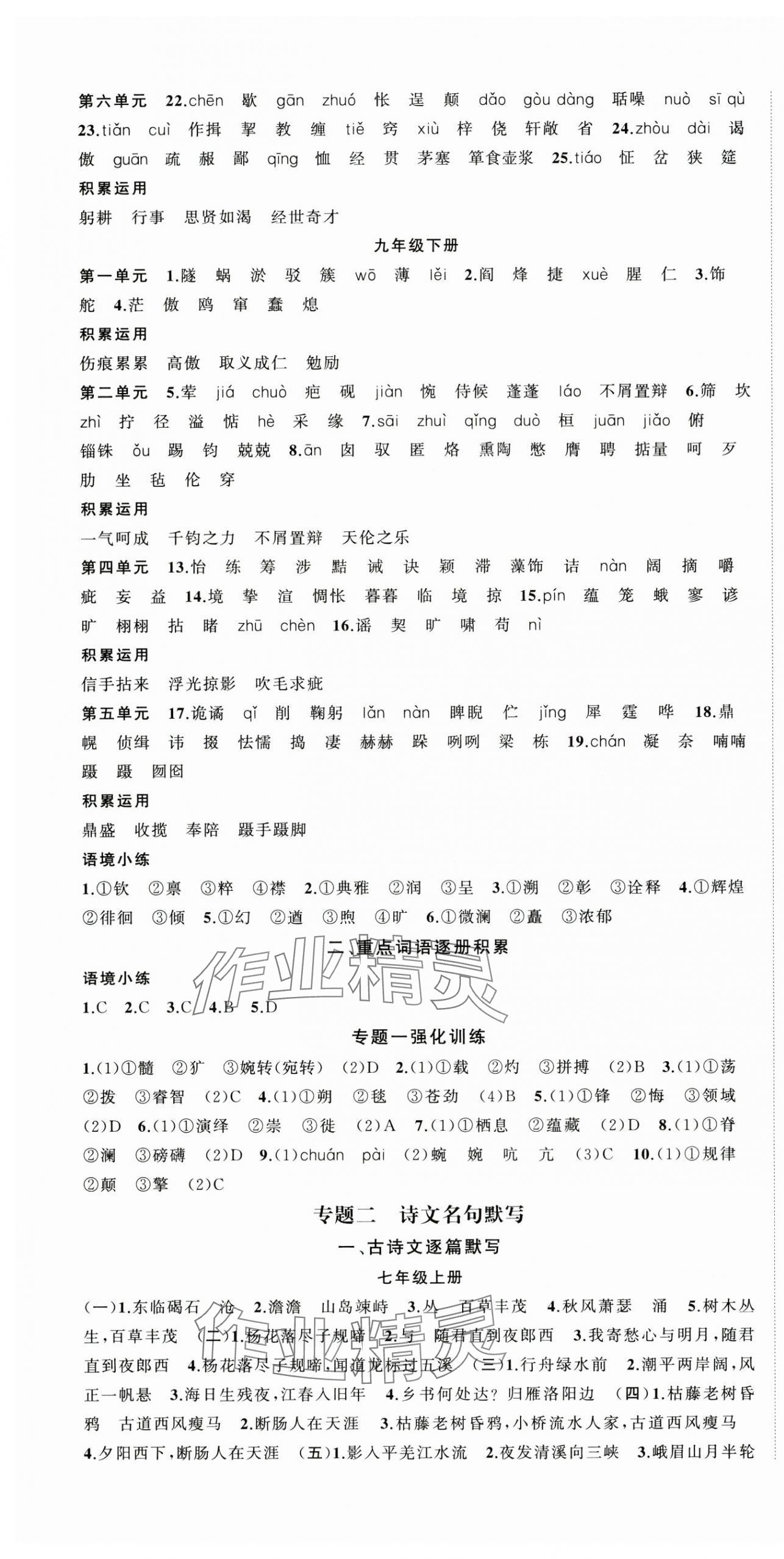 2025年國華圖書架構(gòu)中考語文貴州專版 第4頁