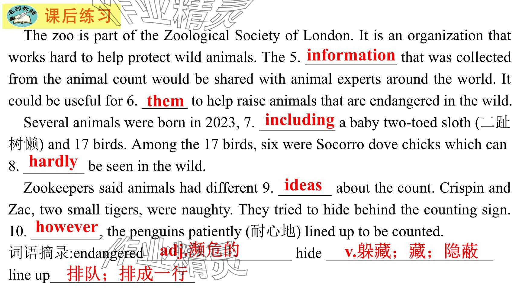 2025年每課一練（福建）八年級英語下冊仁愛版 參考答案第161頁