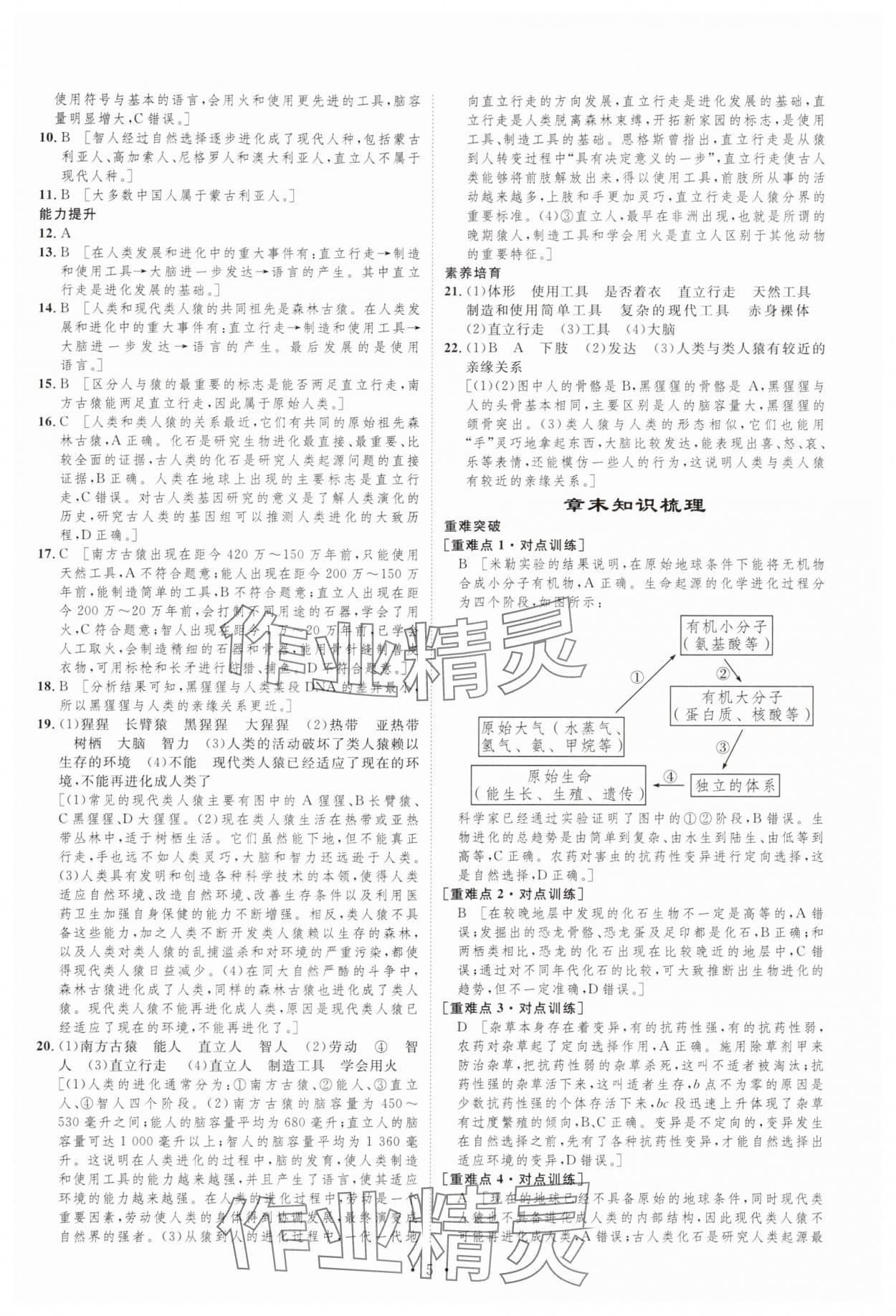 2025年課堂導(dǎo)學(xué)八年級(jí)生物下冊(cè)北師大版 第5頁(yè)