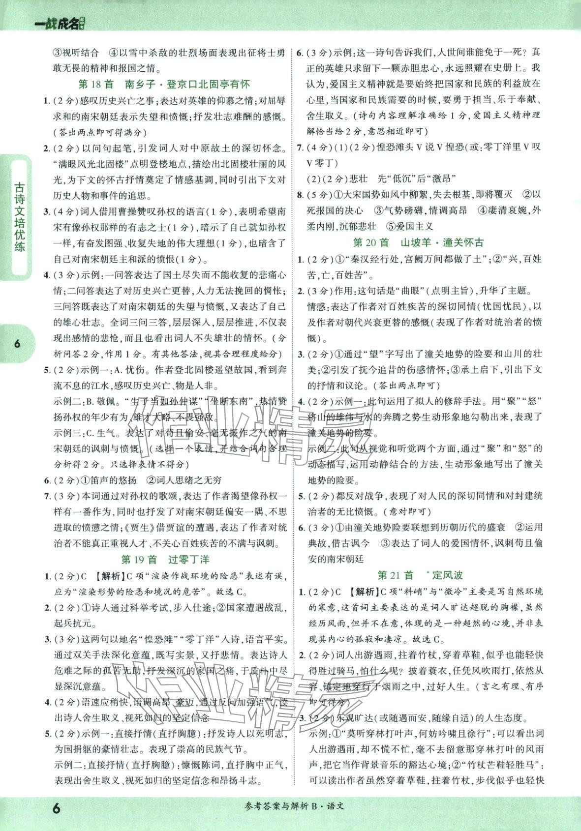 2026年纯练版总复习九年级语文全一册人教版&nbsp;第6页