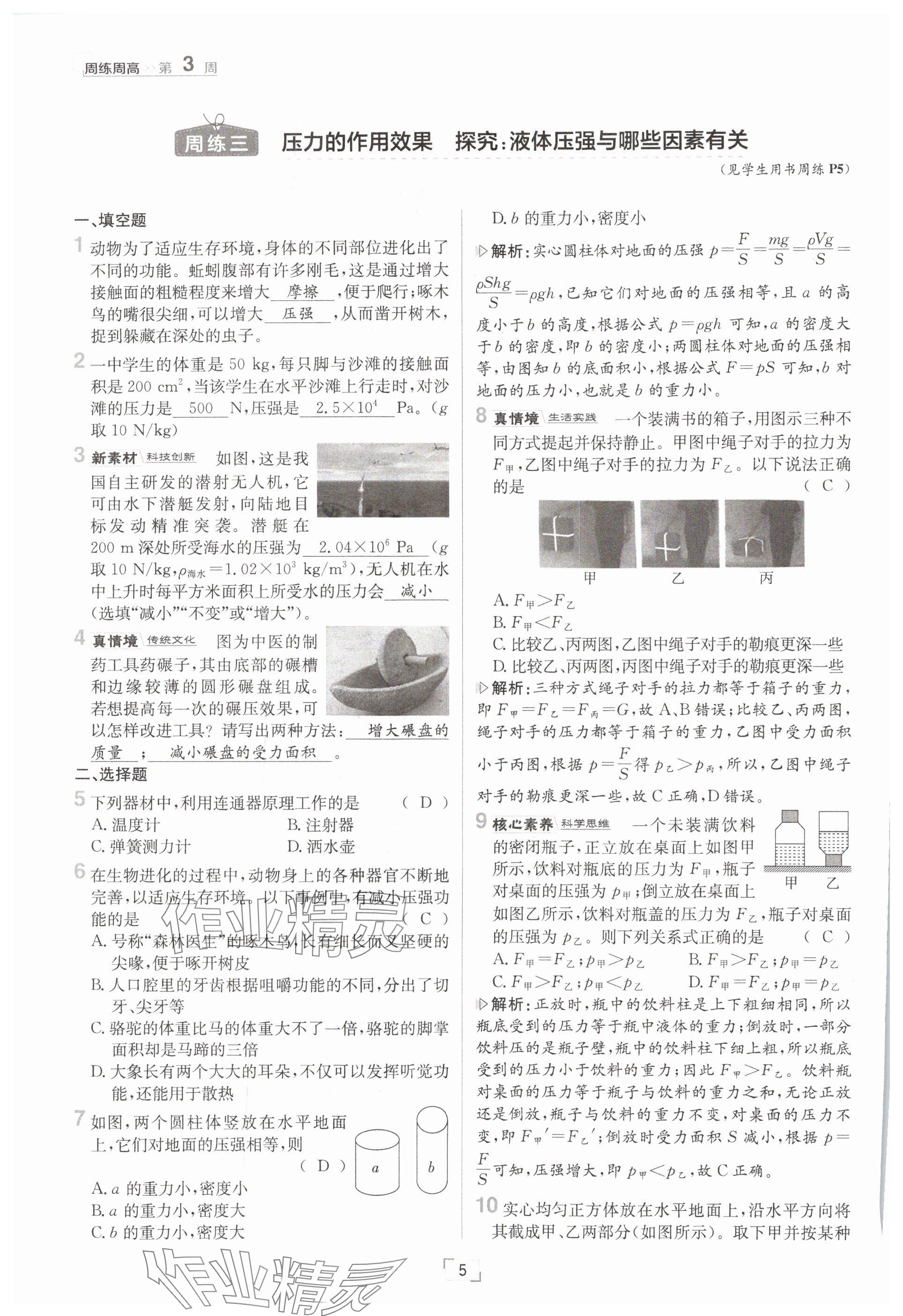 2025年日清周練八年級物理下冊滬科版 參考答案第5頁