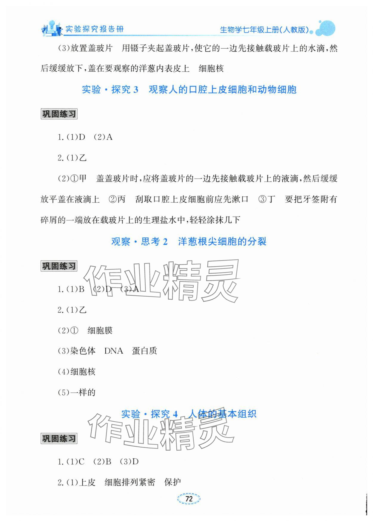 2025年实验探究报告册七年级生物上册人教版 第2页