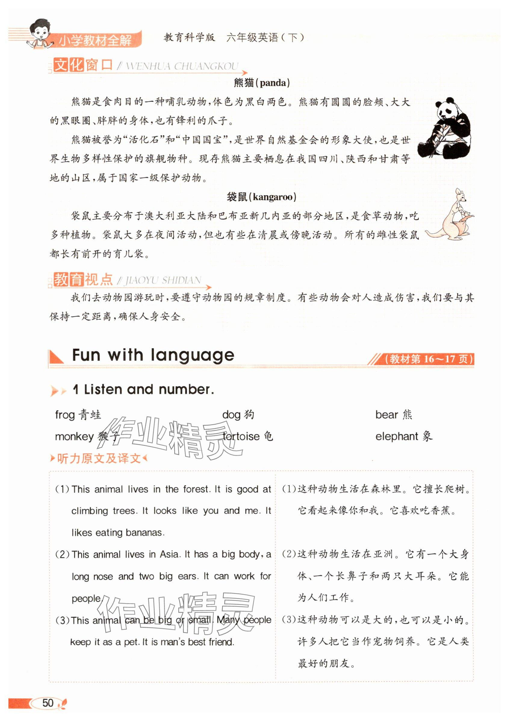 2025年教材課本六年級英語下冊教科版 參考答案第50頁
