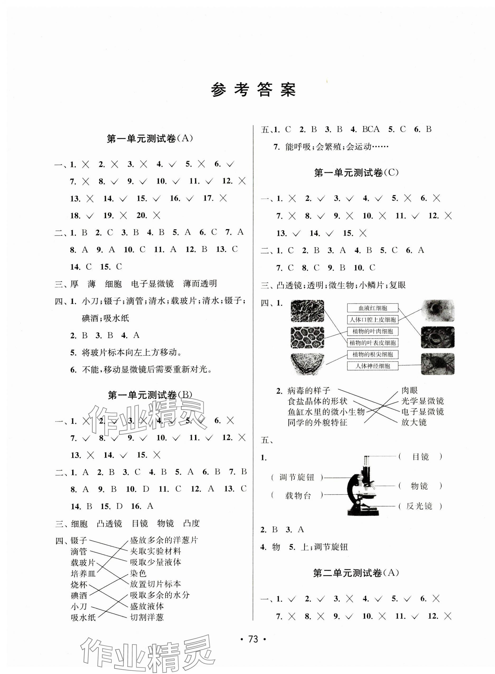 2023年探究科學(xué)六年級(jí)上冊(cè)教科版 第1頁(yè)