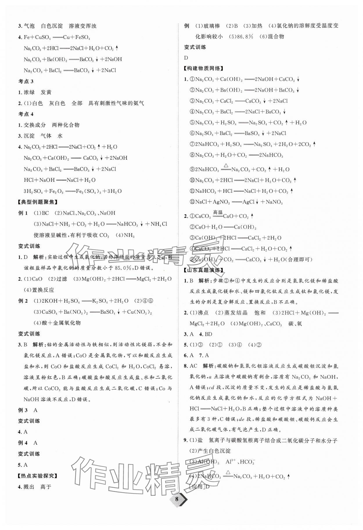 2024年優(yōu)加學(xué)案贏在中考化學(xué) 參考答案第8頁(yè)