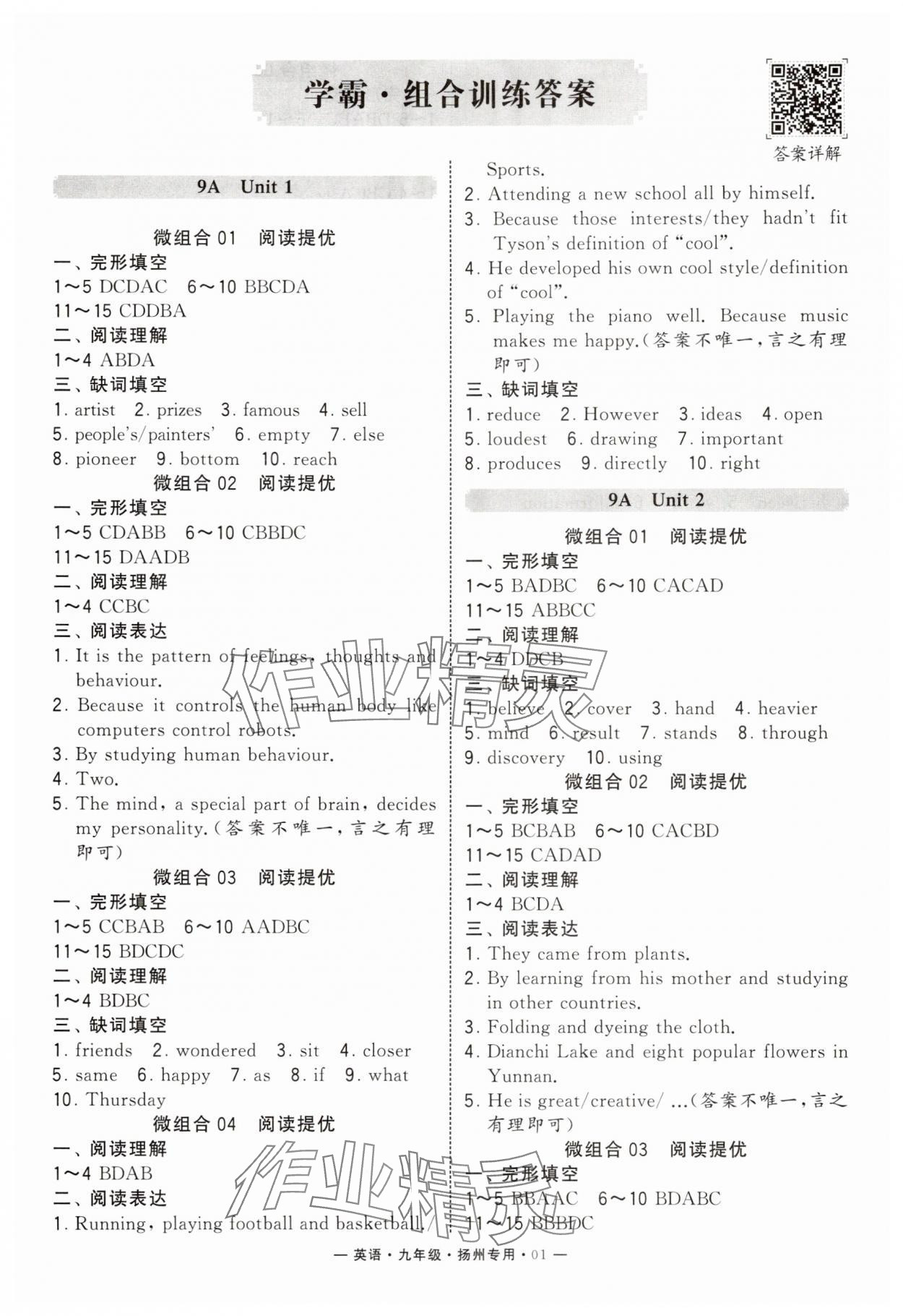 2025年学霸组合训练九年级英语全一册译林版扬州专版 第1页