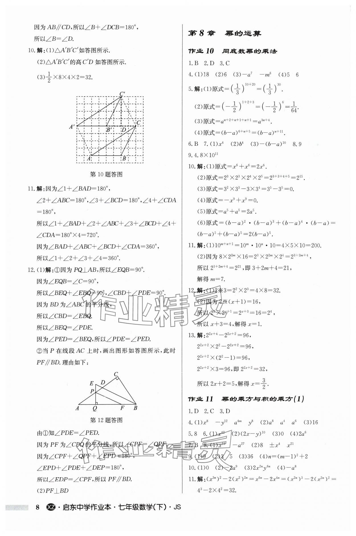 2024年啟東中學(xué)作業(yè)本七年級(jí)數(shù)學(xué)下冊(cè)蘇科版徐州專版 參考答案第8頁