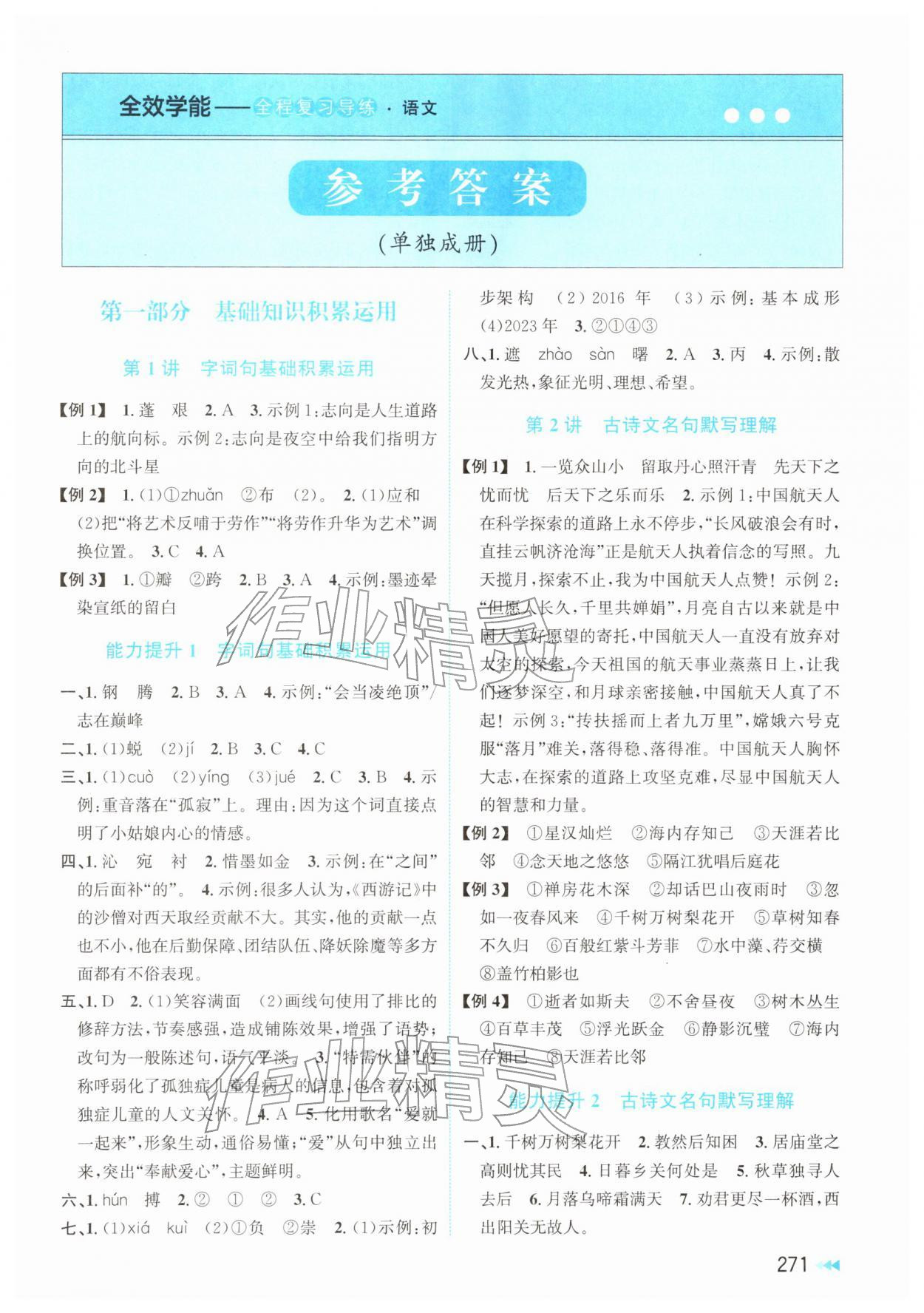 2026年全效学能全程复习导练中考语文&nbsp;第1页