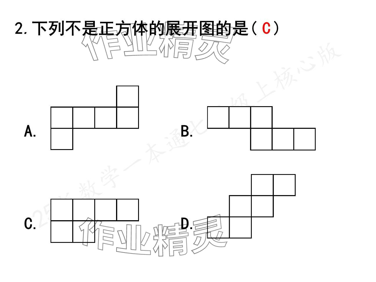 2024年一本通武漢出版社七年級數(shù)學(xué)上冊北師大版核心板 參考答案第25頁