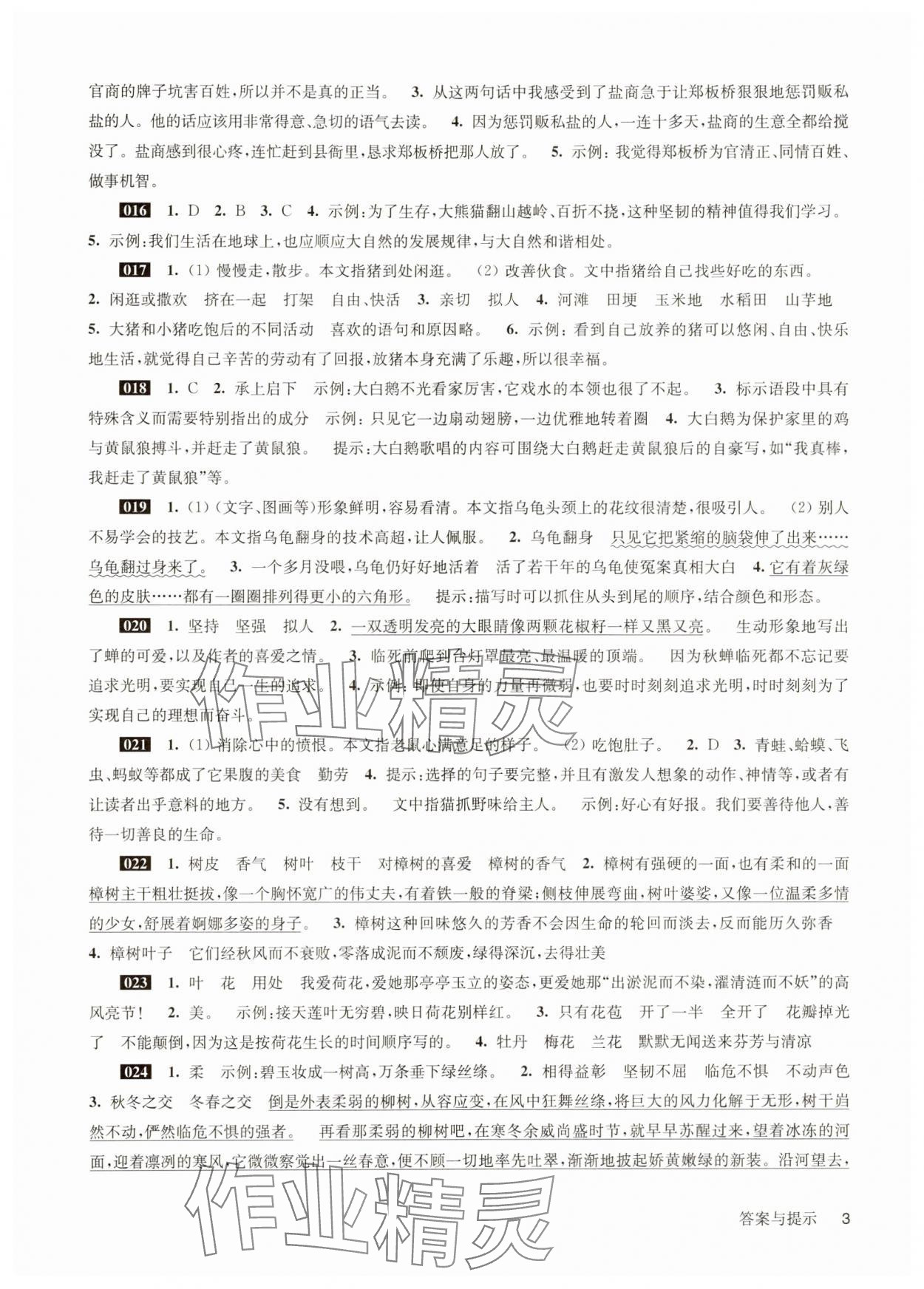 2025年百題大過關小升初語文 參考答案第3頁