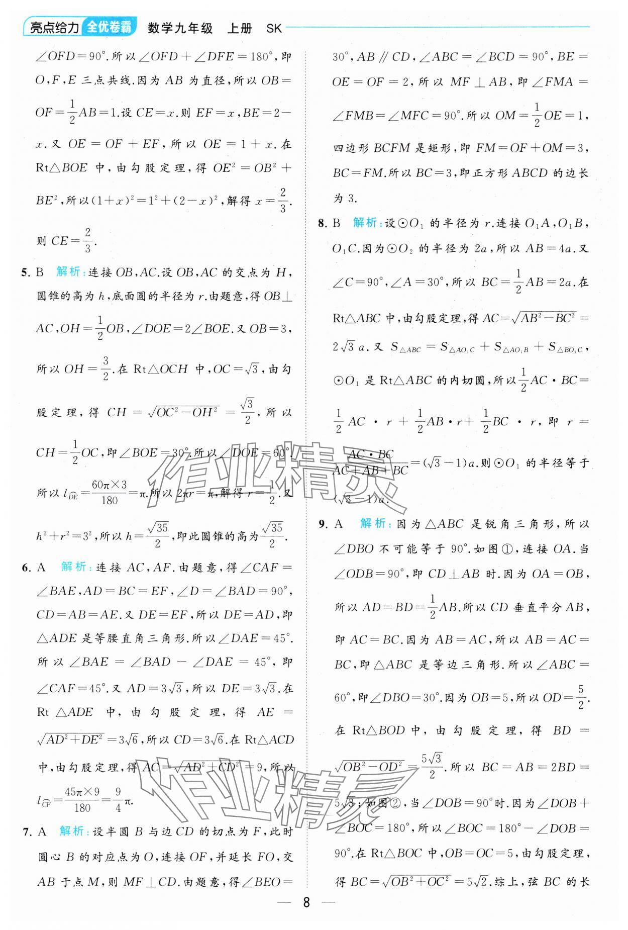 2023年亮点给力全优卷霸九年级数学上册苏科版 参考答案第8页