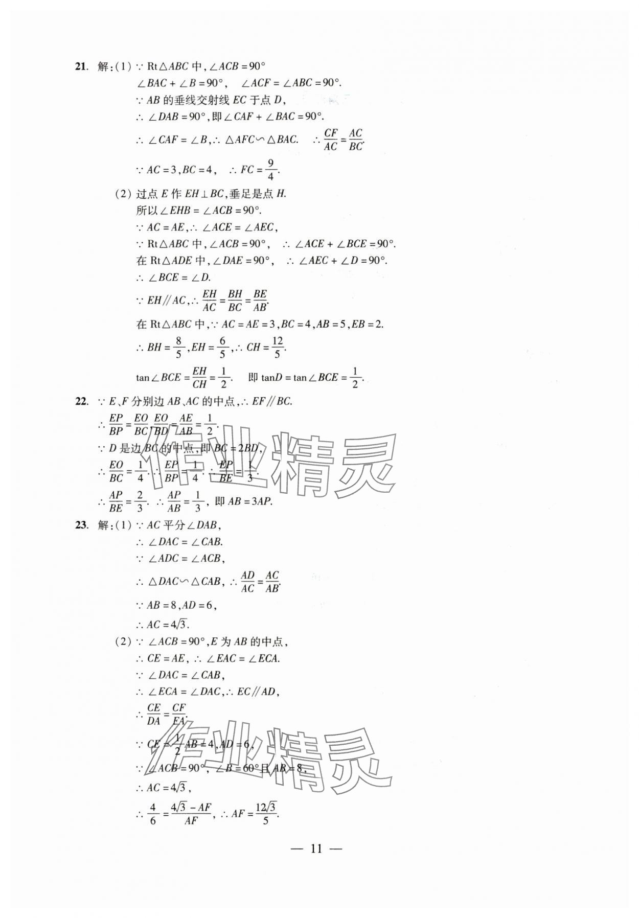 2025年初中測試與評估數(shù)學(xué) 參考答案第11頁