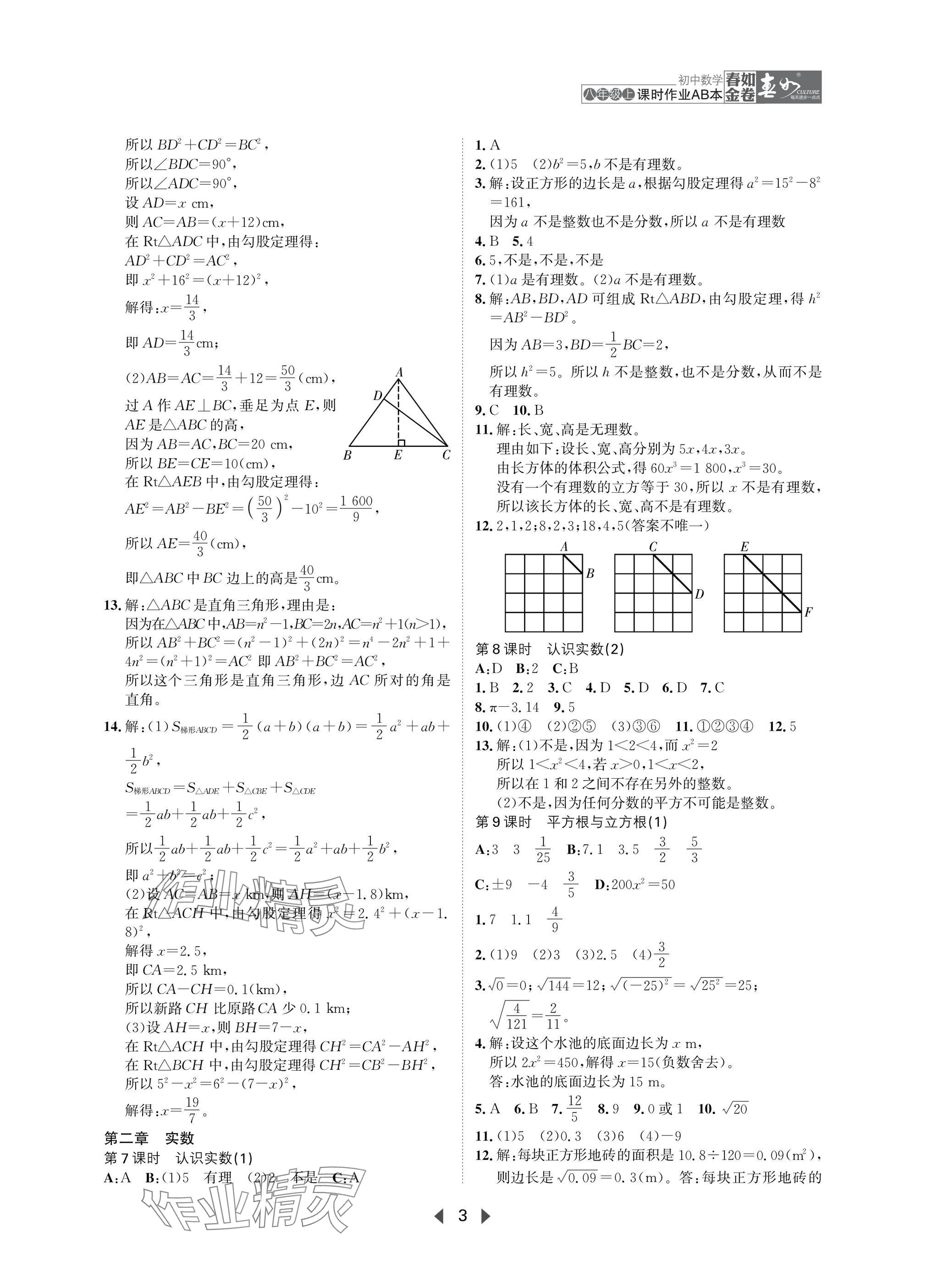 2025年春如金卷課時作業AB本八年級數學上冊北師大版 參考答案第3頁