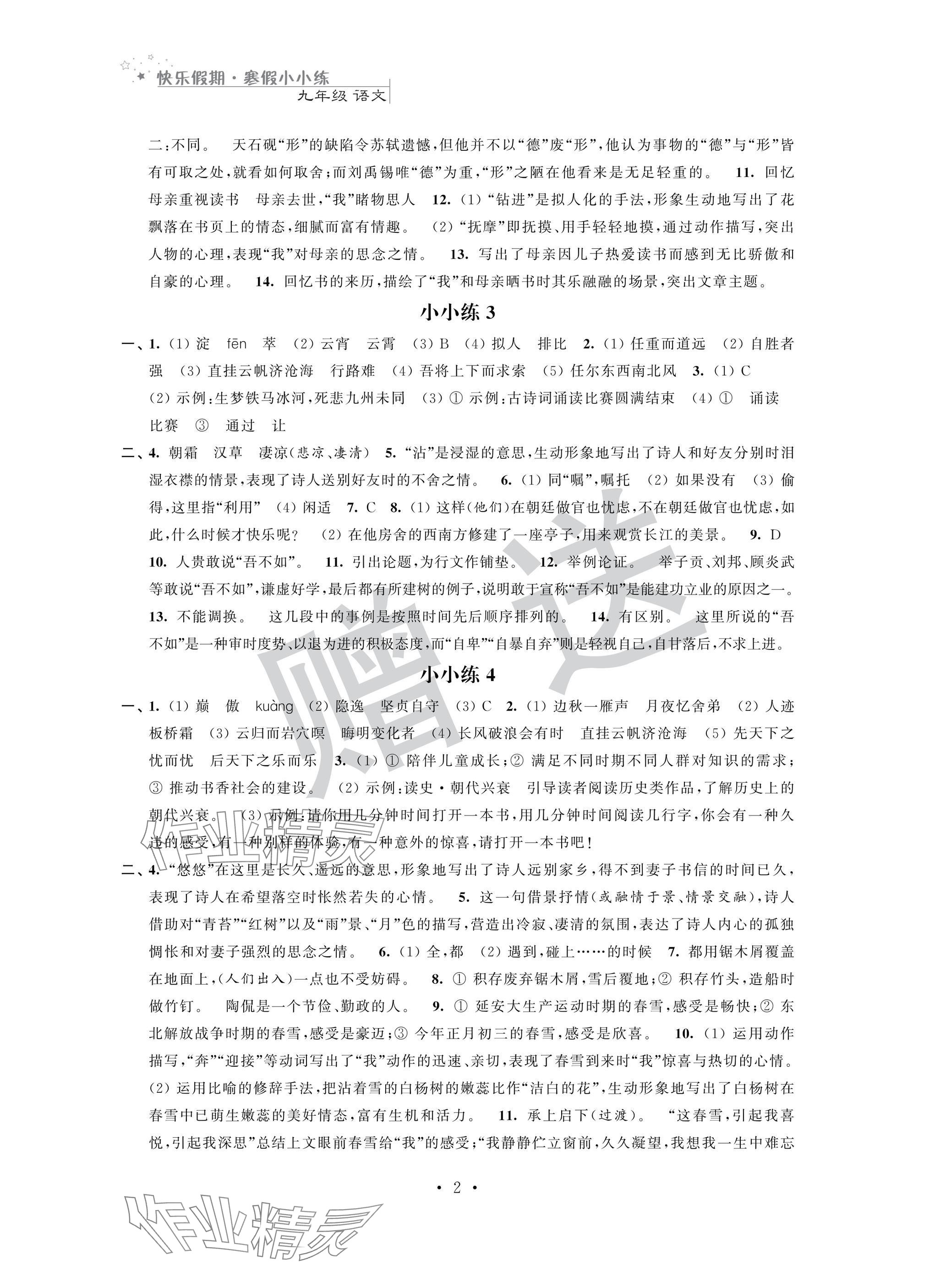 2025年快乐假期寒假小小练九年级综合 第2页