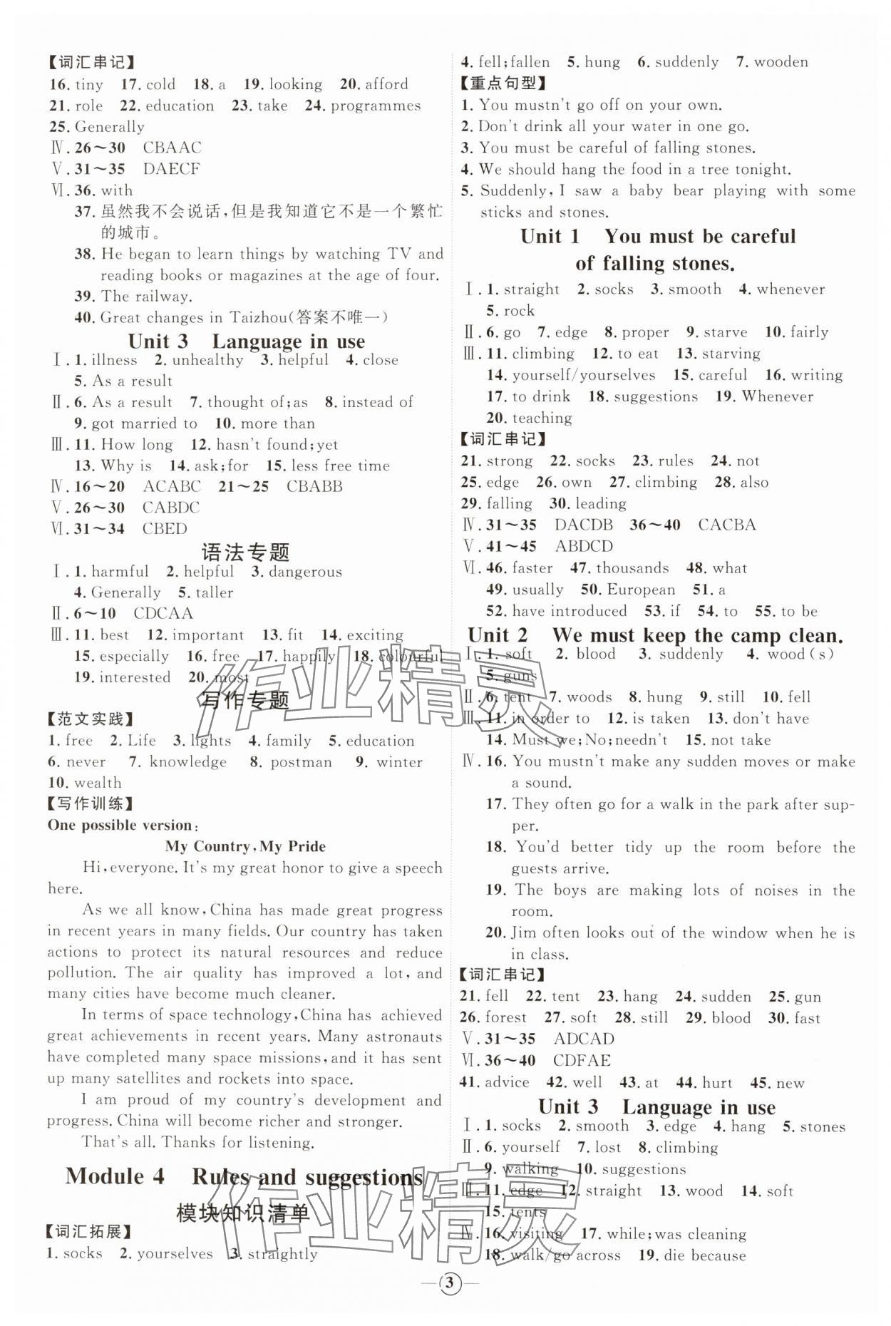 2025年優加學案課時通九年級英語下冊外研版 參考答案第3頁