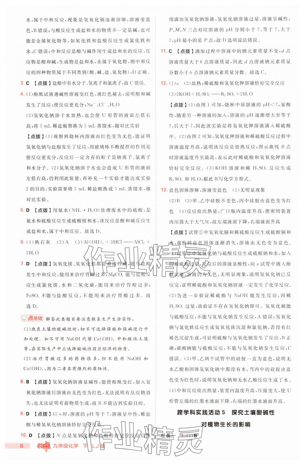 2025年綜合應(yīng)用創(chuàng)新題典中點九年級化學(xué)下冊魯教版 第6頁