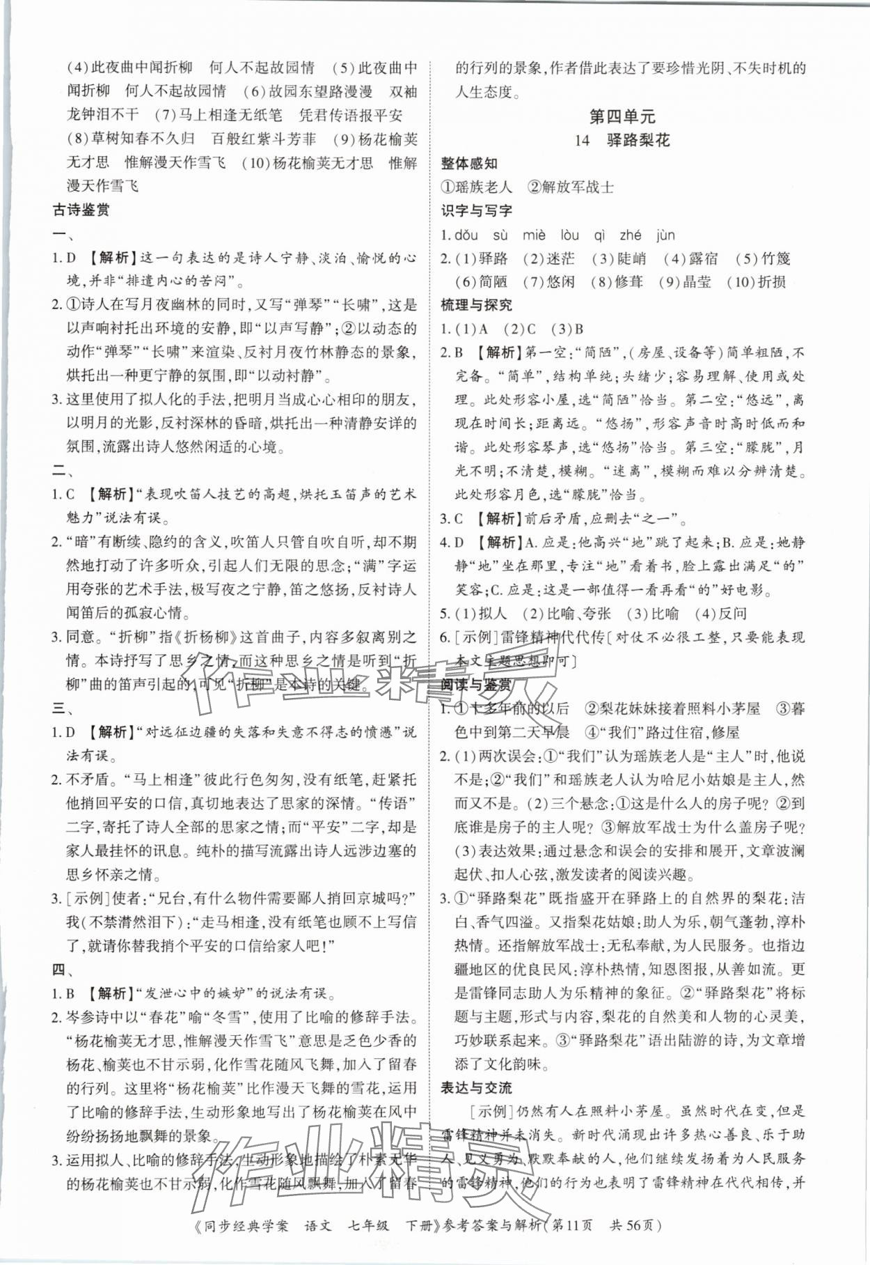 2025年同步經典學案七年級語文下冊人教版深圳專版 第11頁