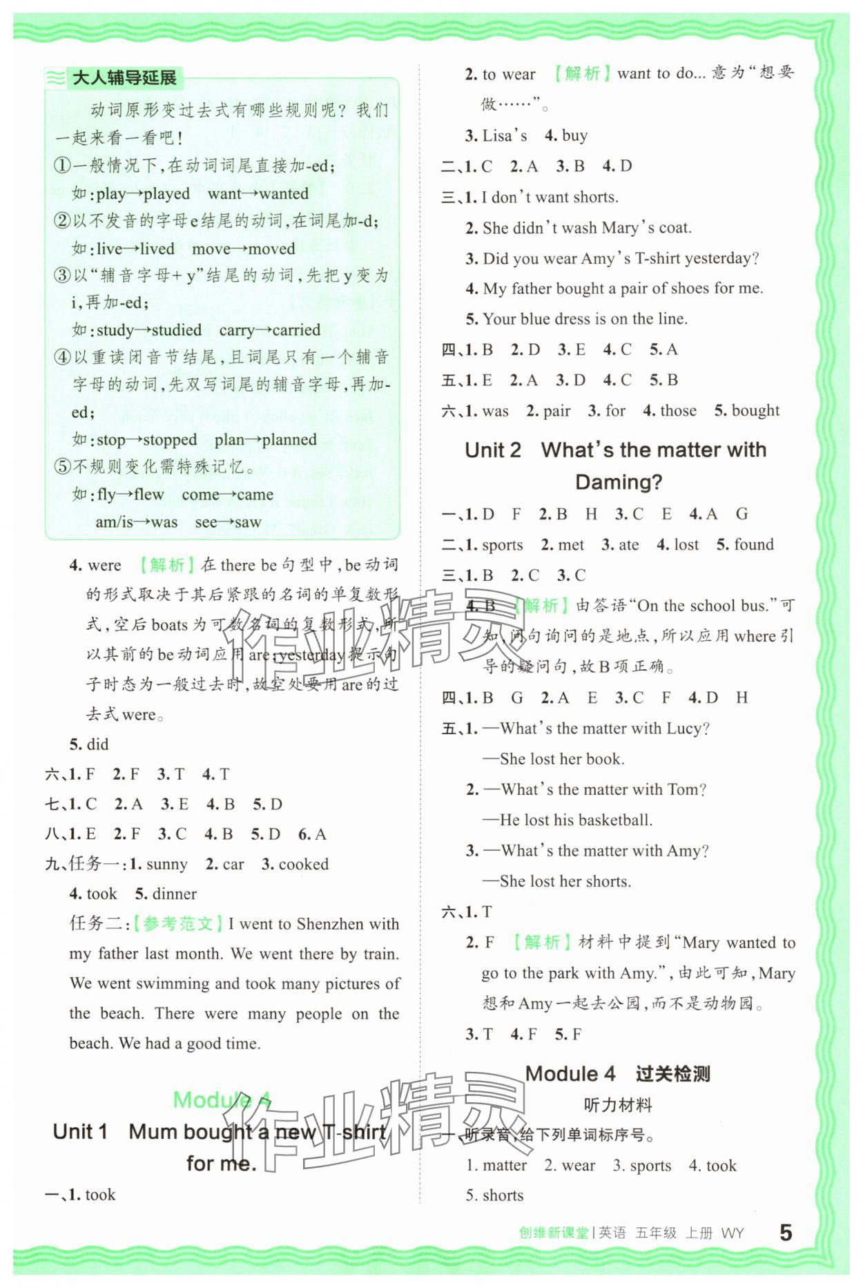 2025年创维新课堂五年级英语上册外研版 第5页