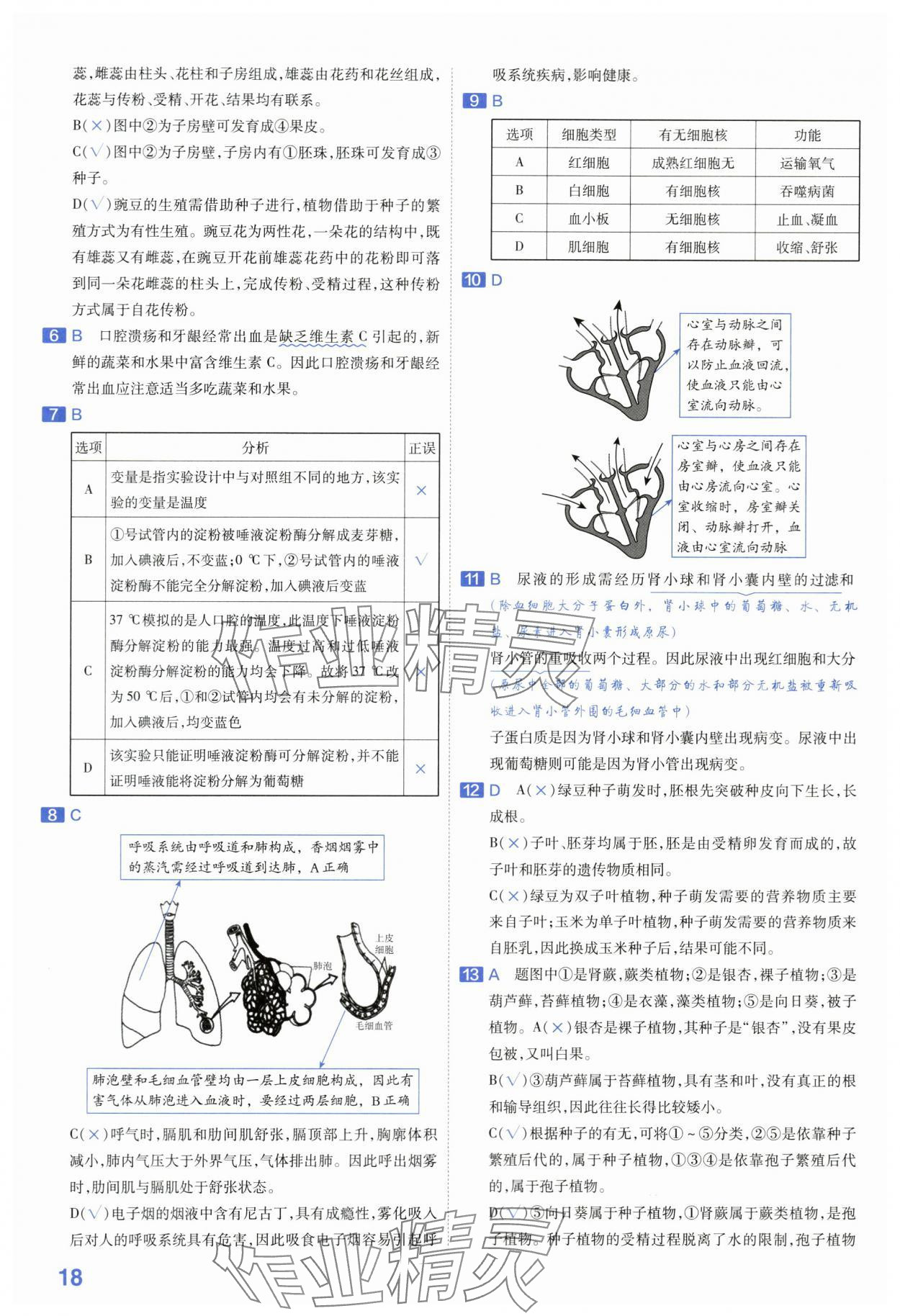 2024年金考卷45套匯編生物河南專版 第18頁