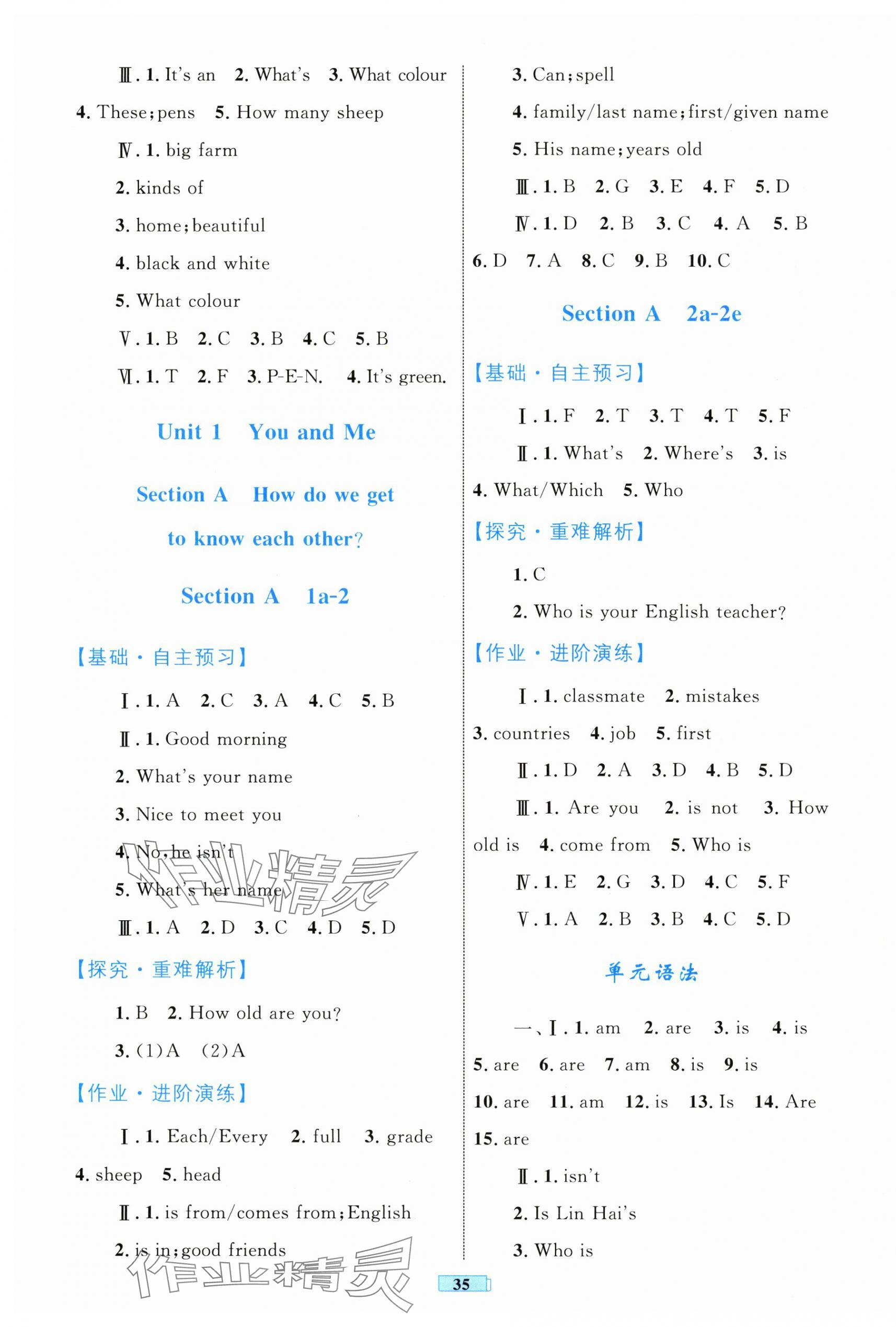 2025年同步學習目標與檢測七年級英語上冊人教版 第3頁
