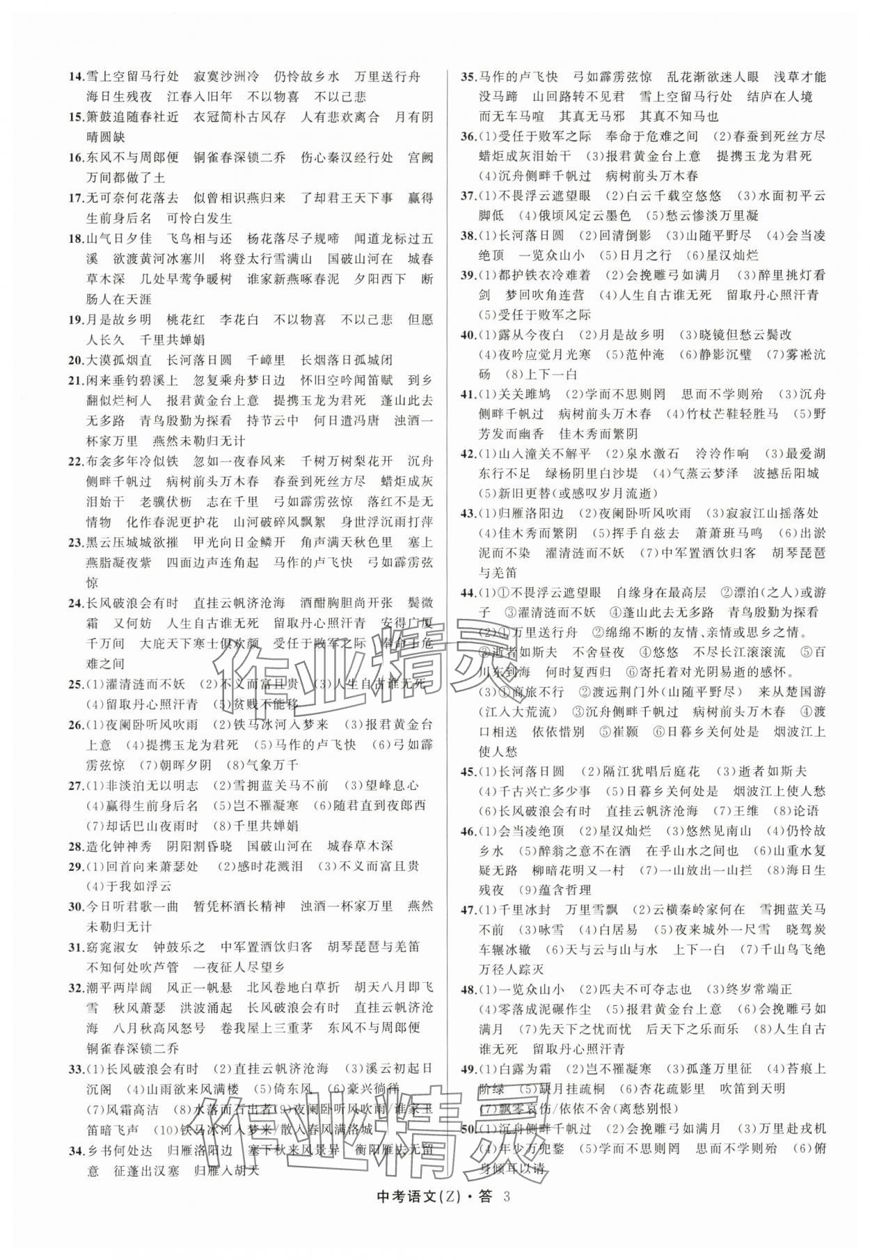 2024名師面對面中考滿分特訓方案語文人教版浙江專版 參考答案第3頁