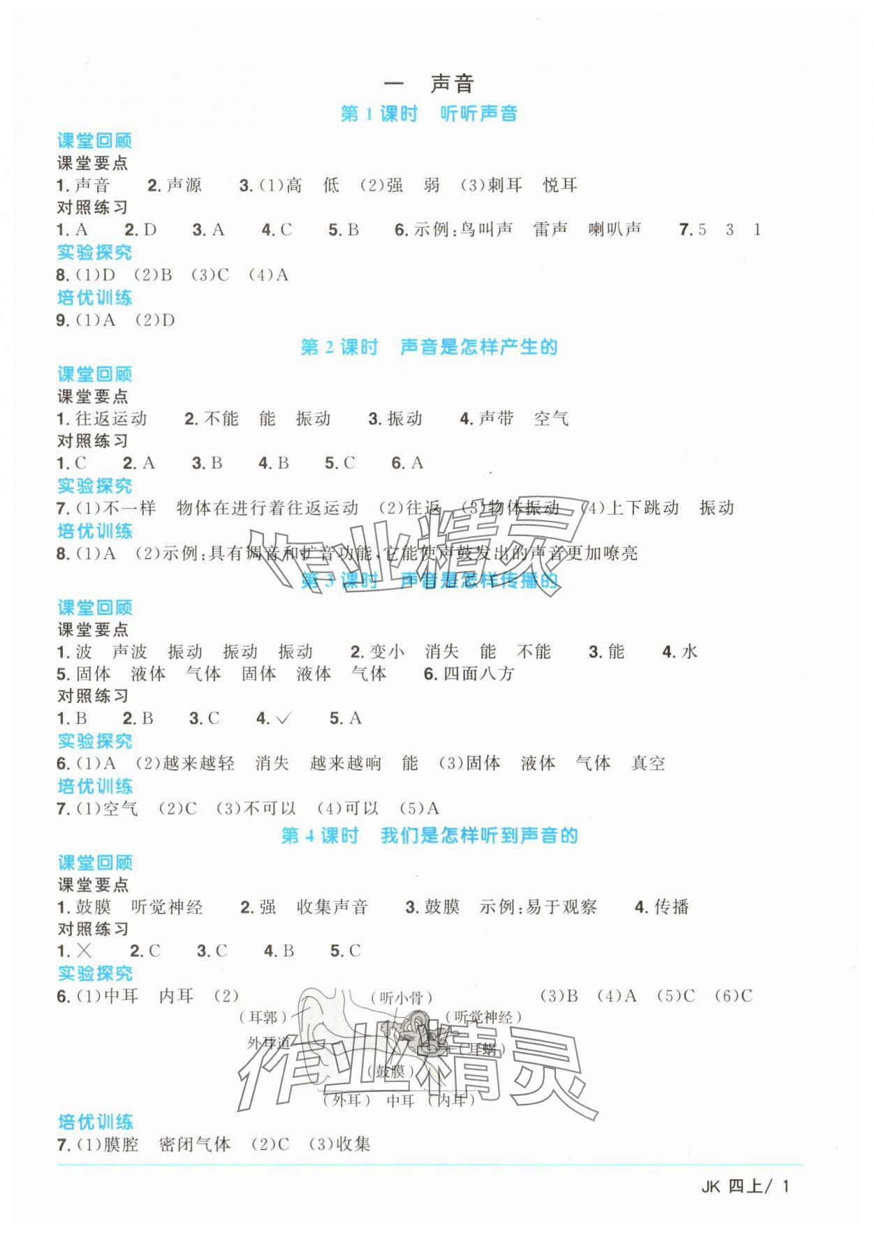 2025年阳光同学课时优化作业四年级科学上册教科版 第1页