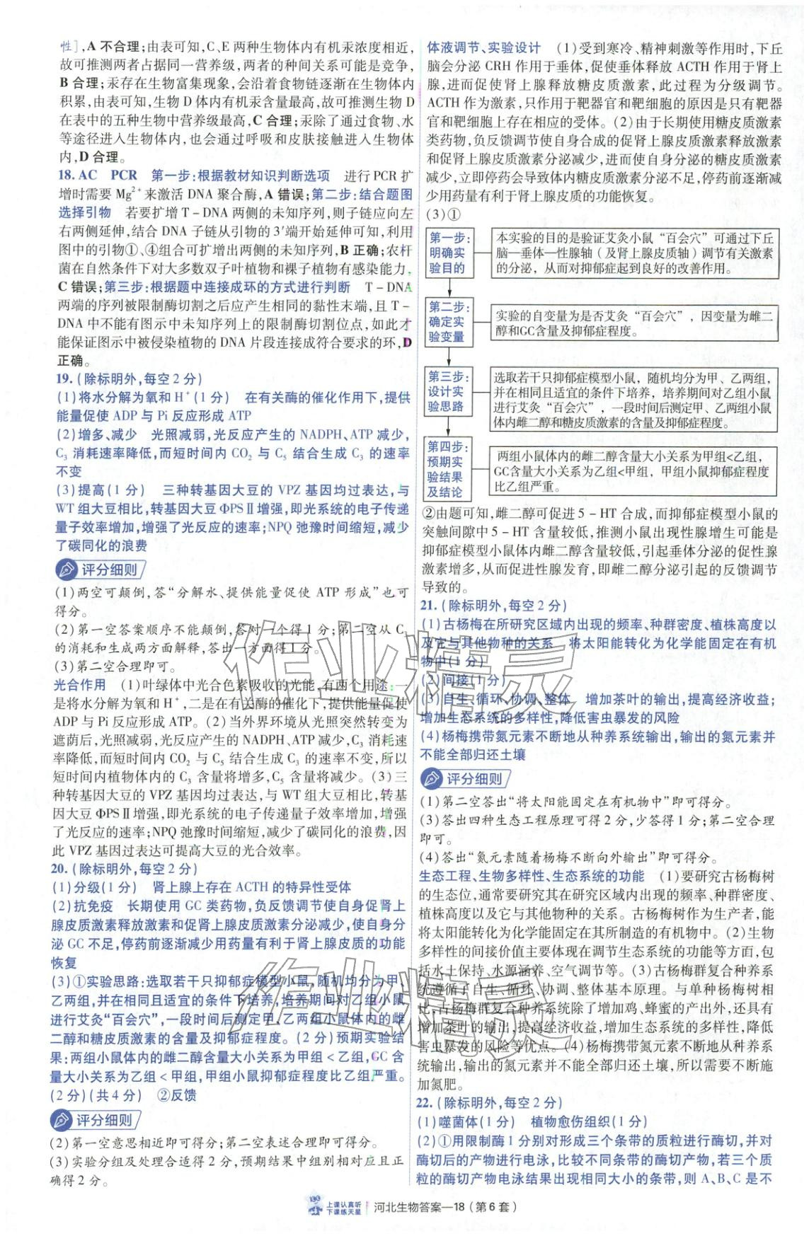 2026年金考卷优秀模拟试卷汇编45套高中生物河北专版 第18页